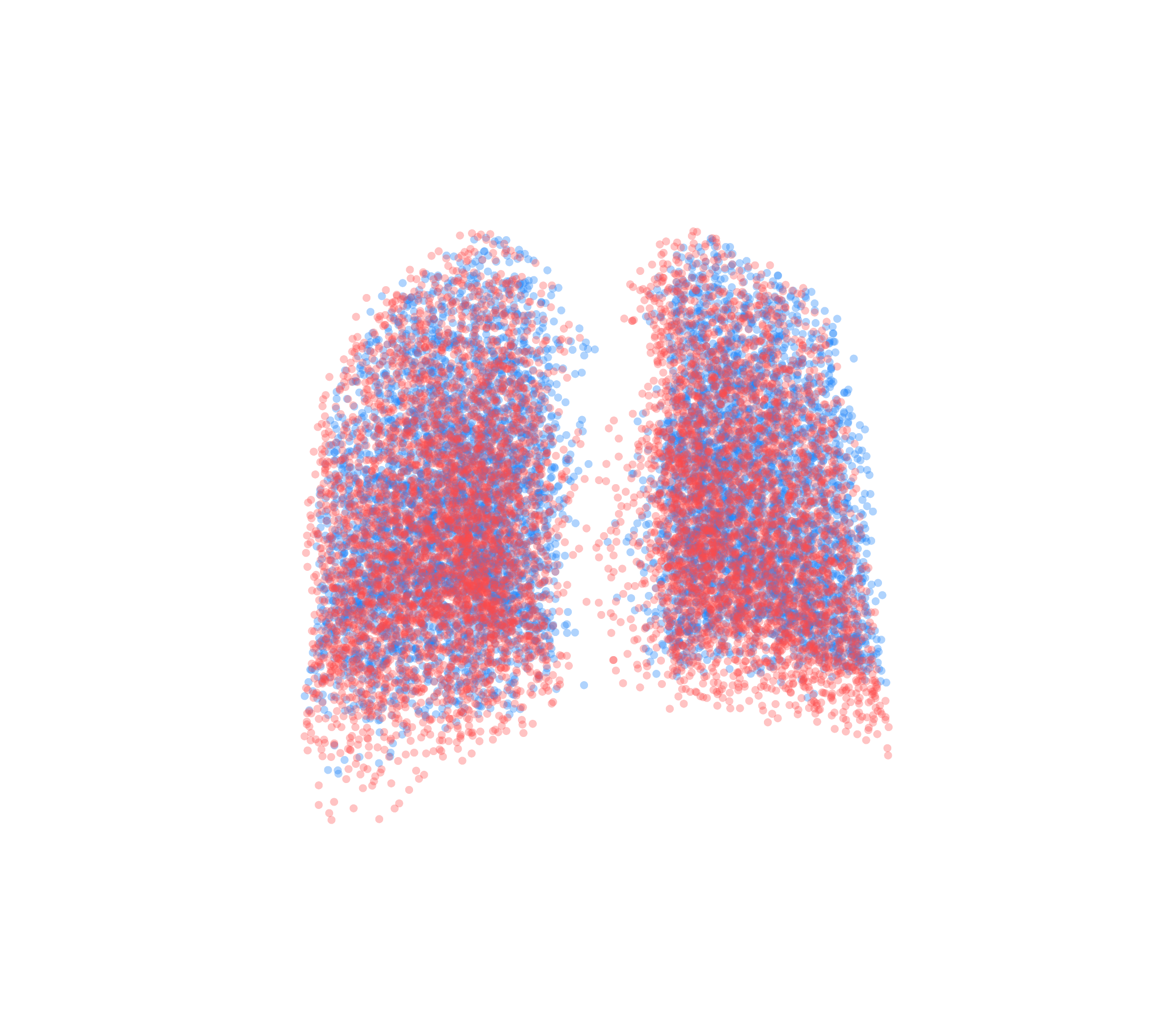 Point Cloud - Back View