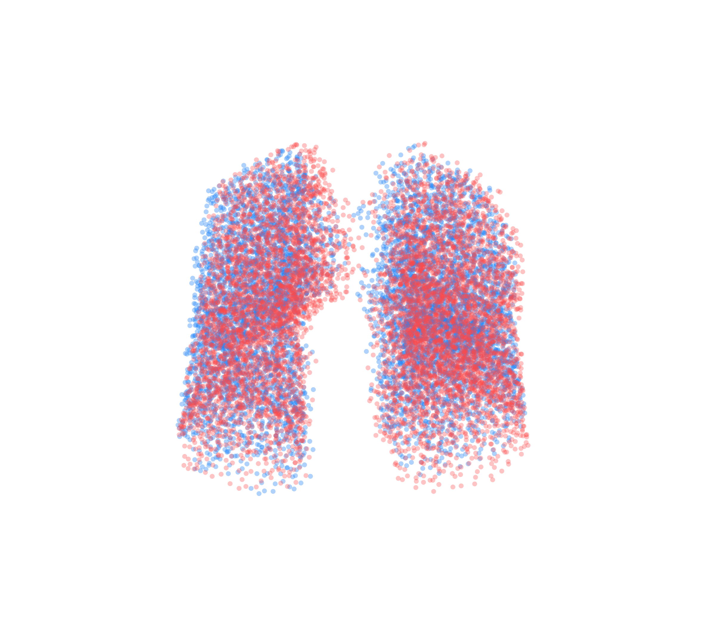 Point Cloud - Front View