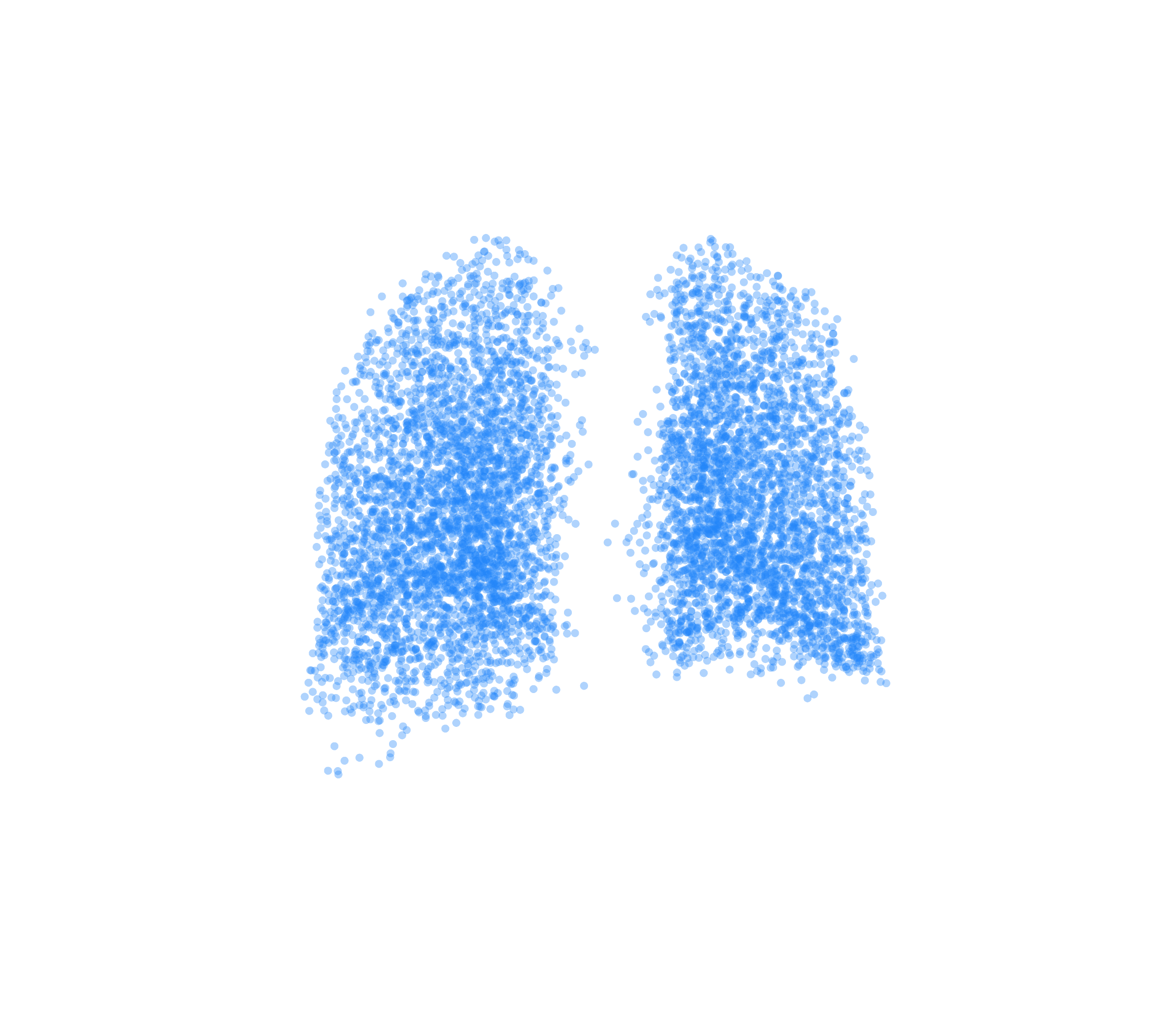 Point Cloud (Inspiration) - Back View