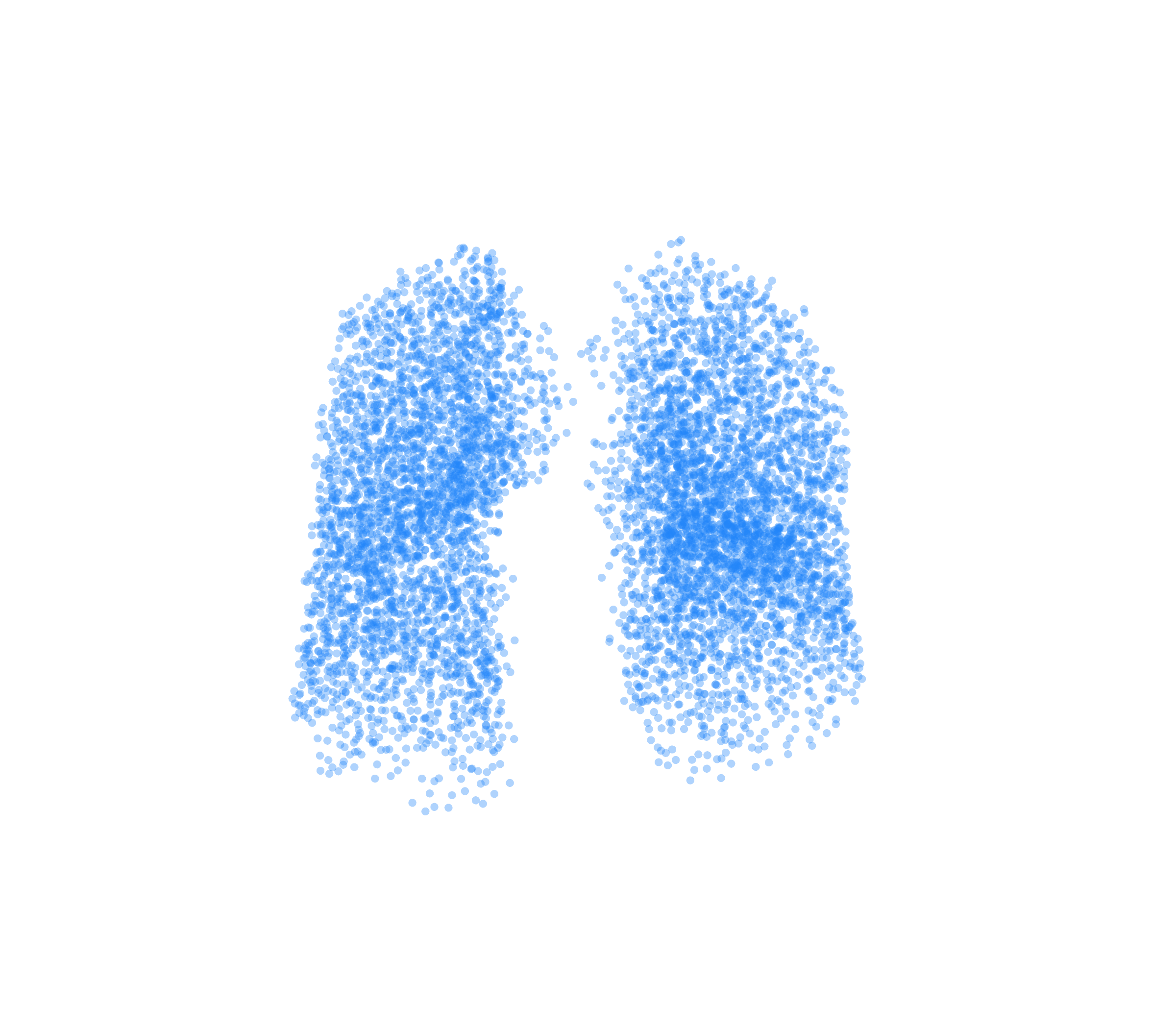 Point Cloud (Inspiration) - Front View