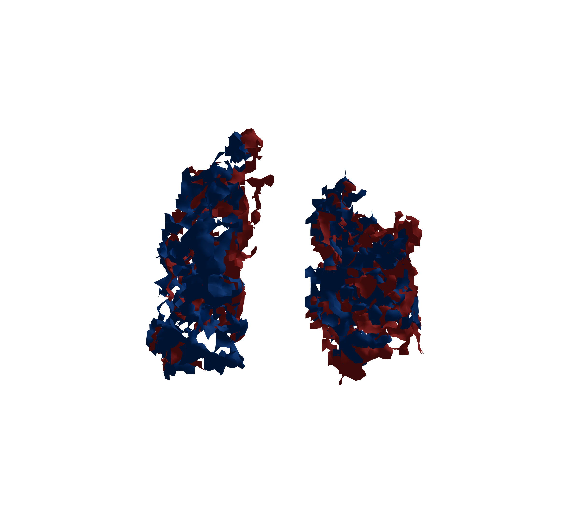 Surface Mesh - Front View