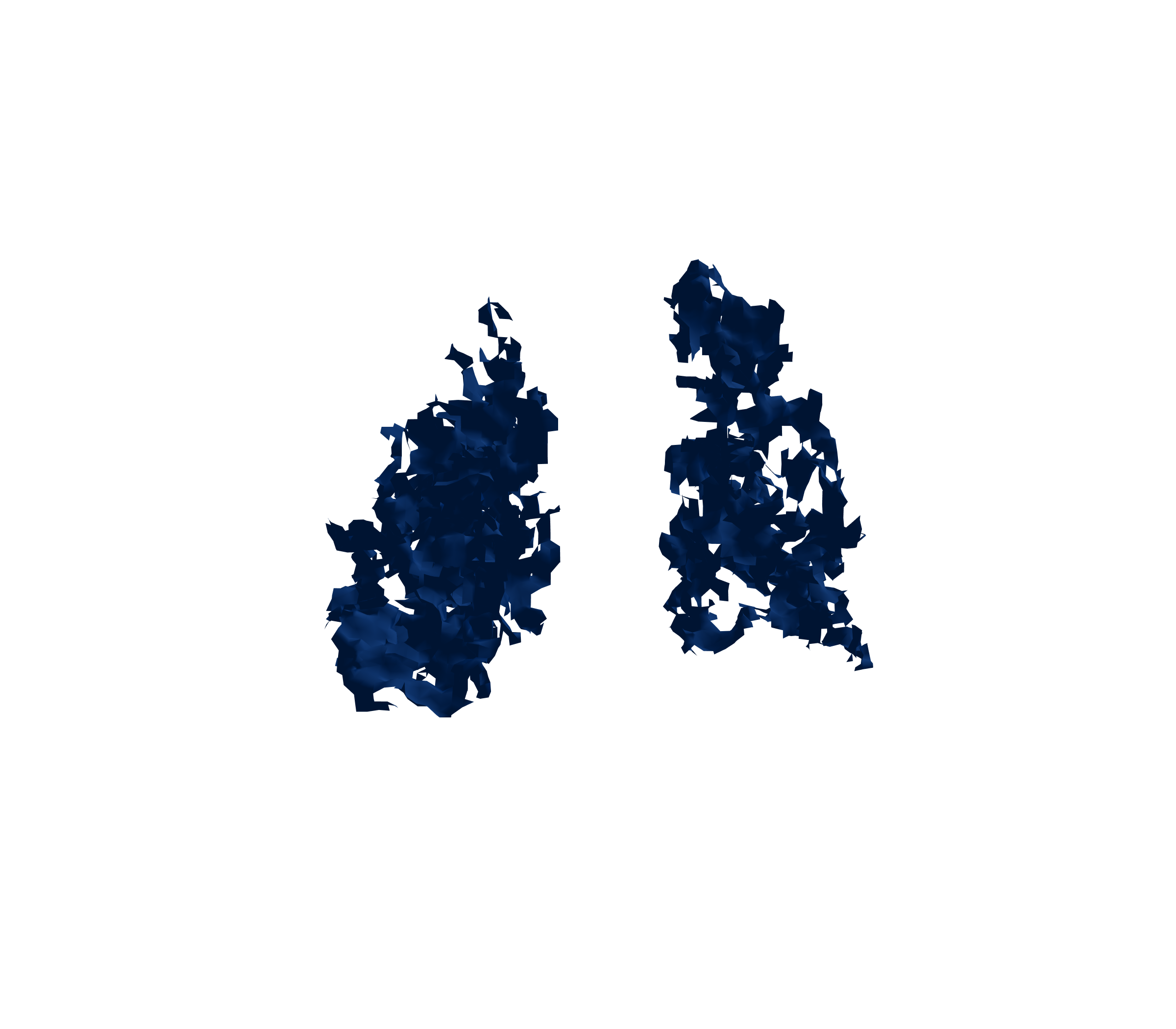 Surface Mesh (Inspiration) - Back View