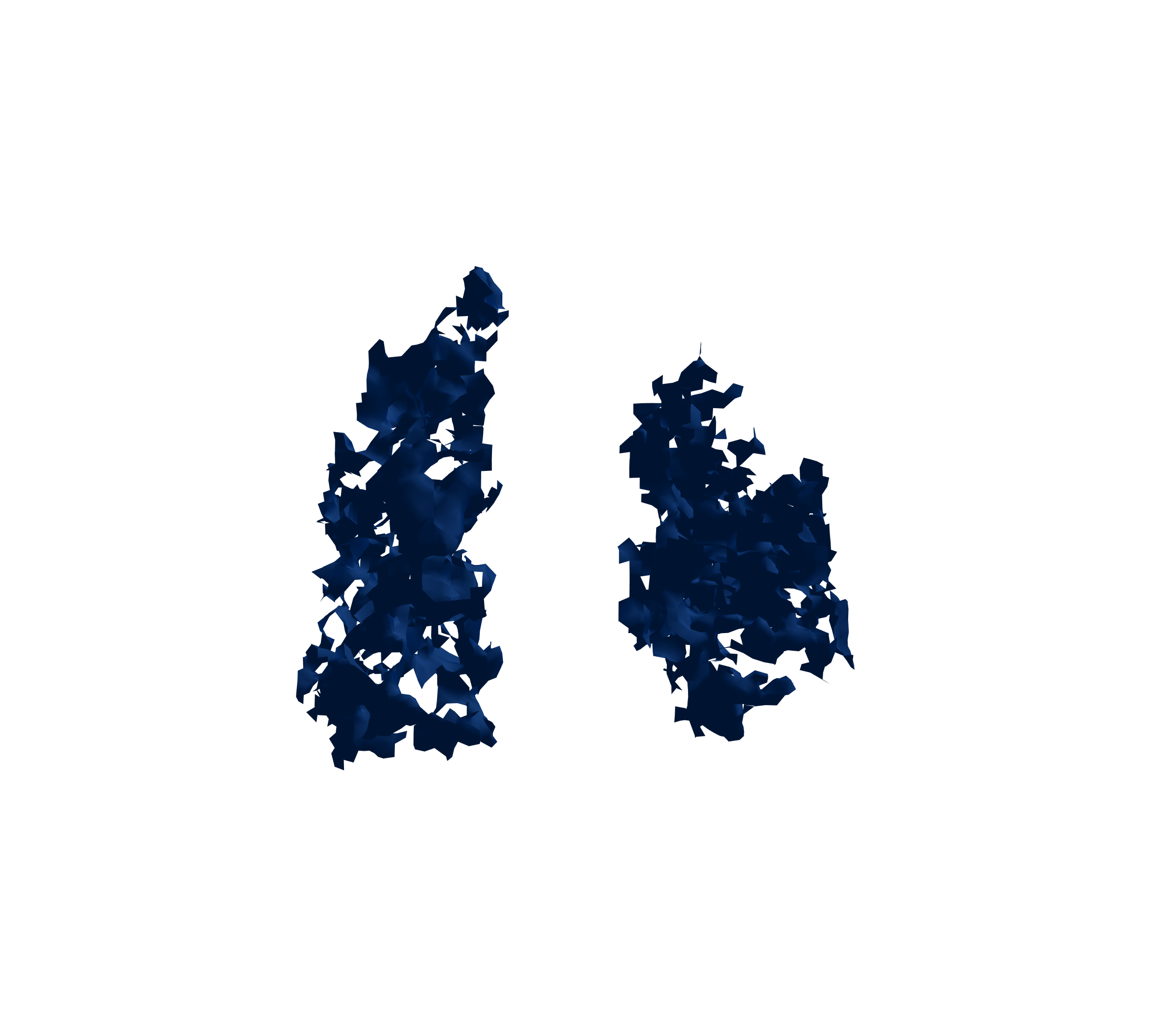 Surface Mesh (Inspiration) - Front View