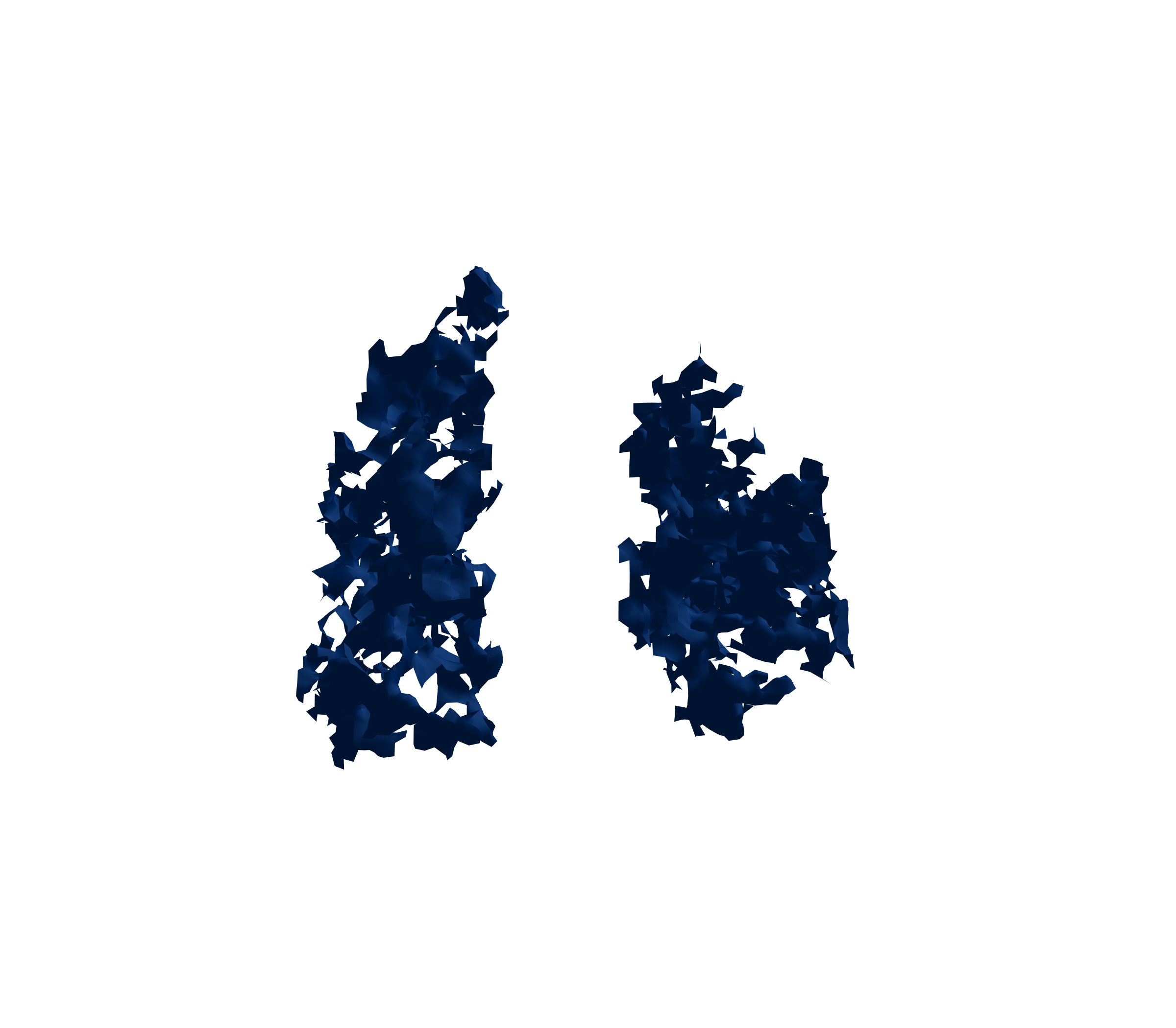 Surface Mesh (Inspiration) - Front View