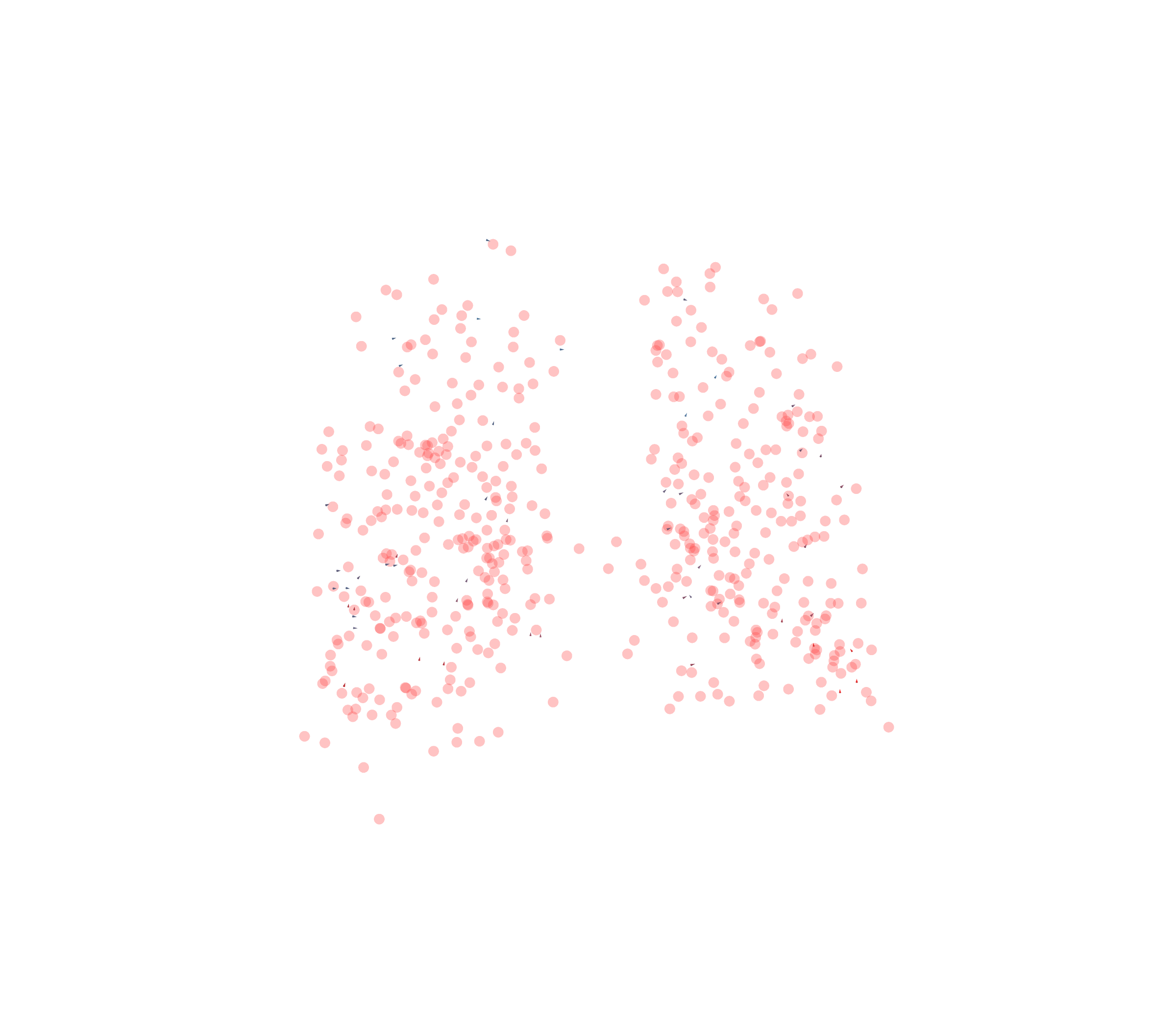 Displacement Vectors - Back View