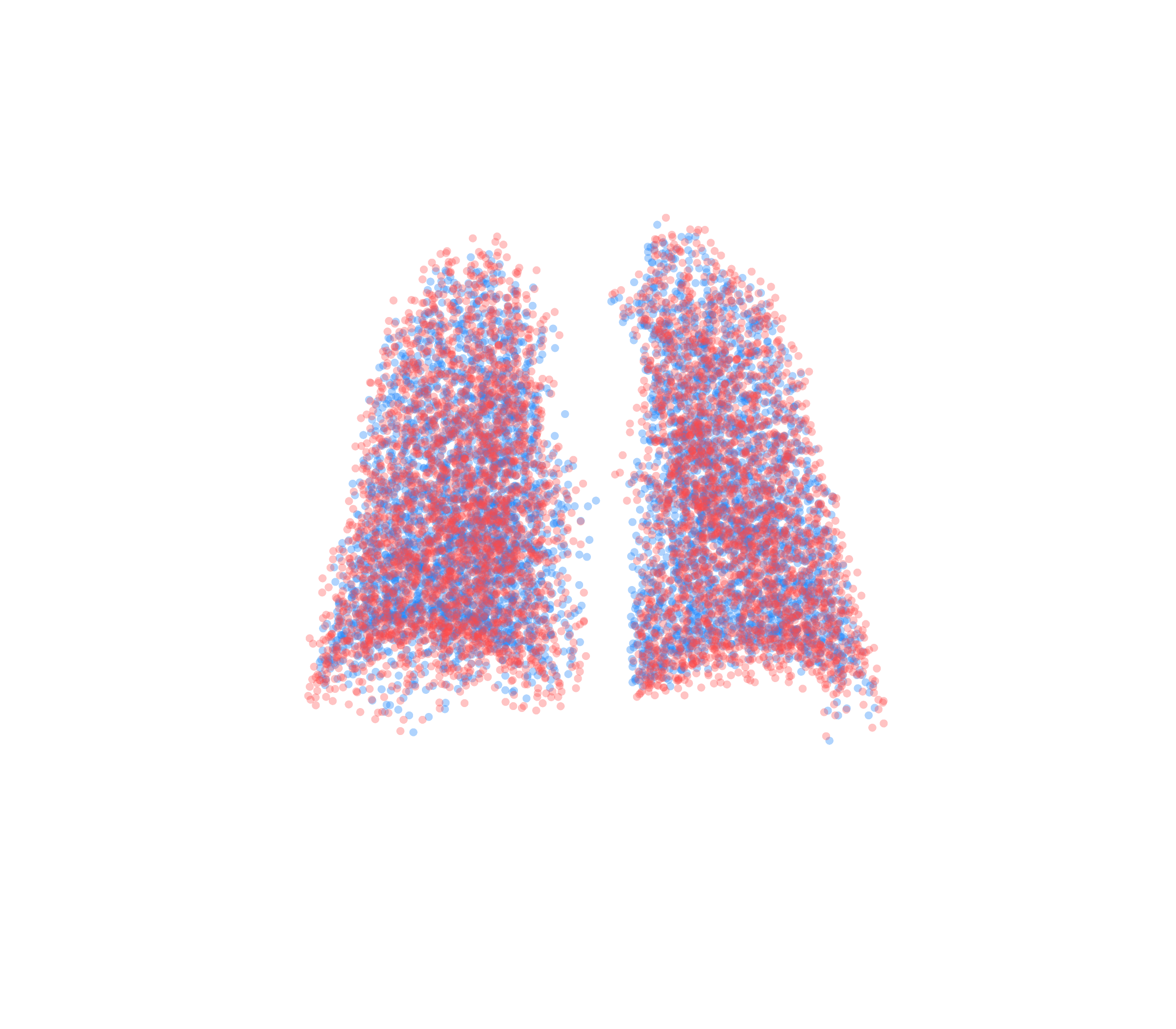 Point Cloud - Back View