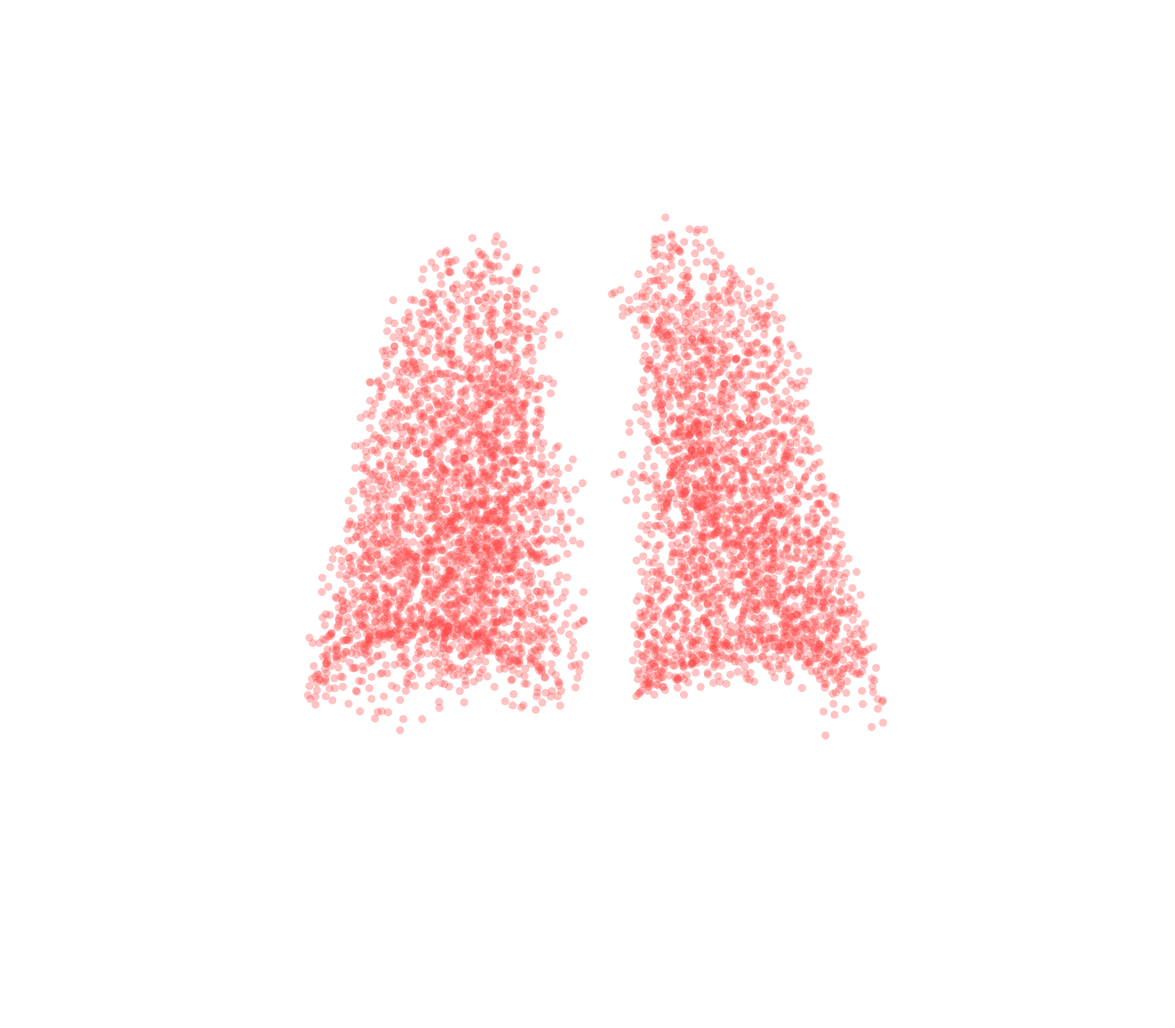 Point Cloud (Expiration) - Back View