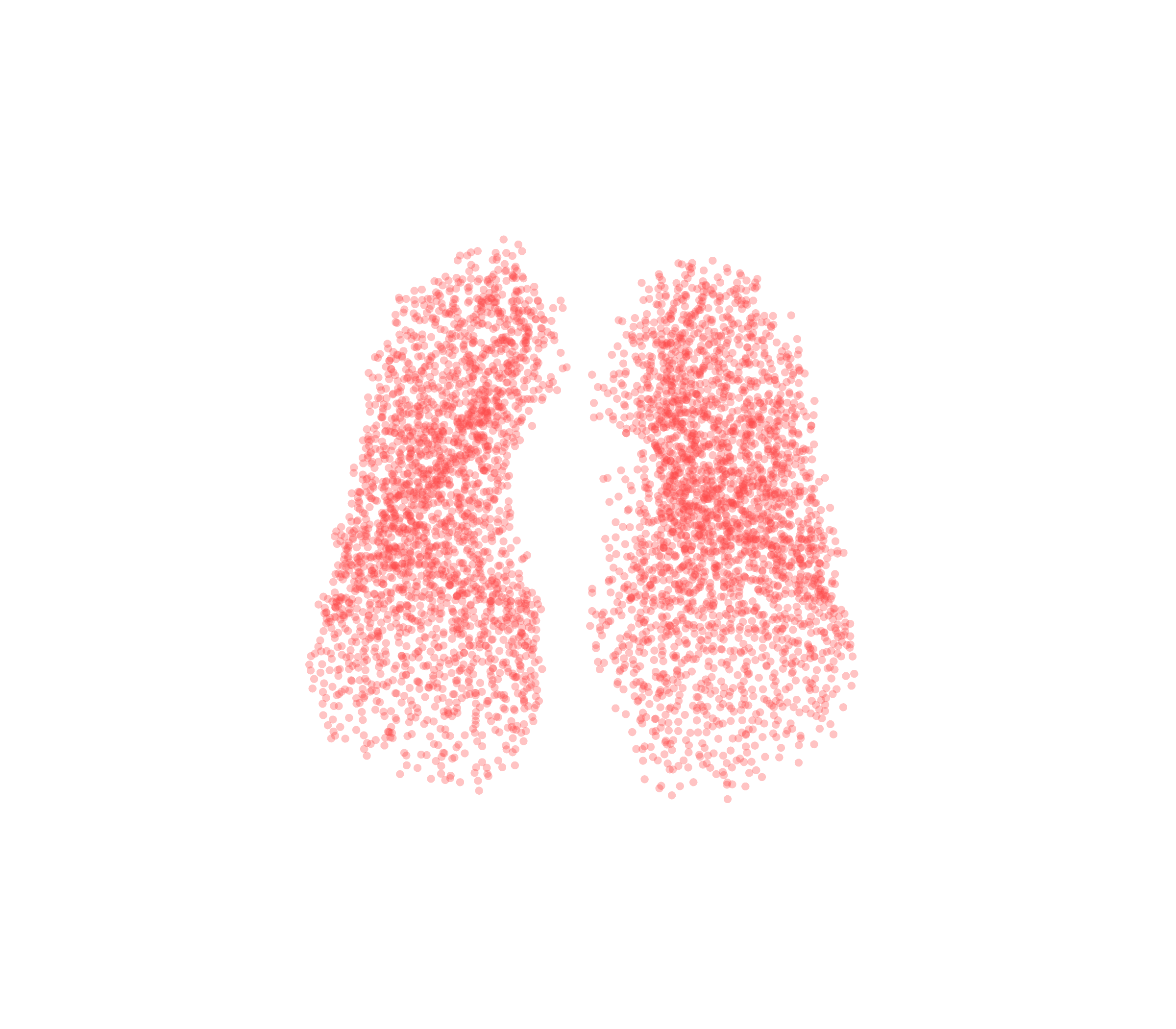 Point Cloud (Expiration) - Front View