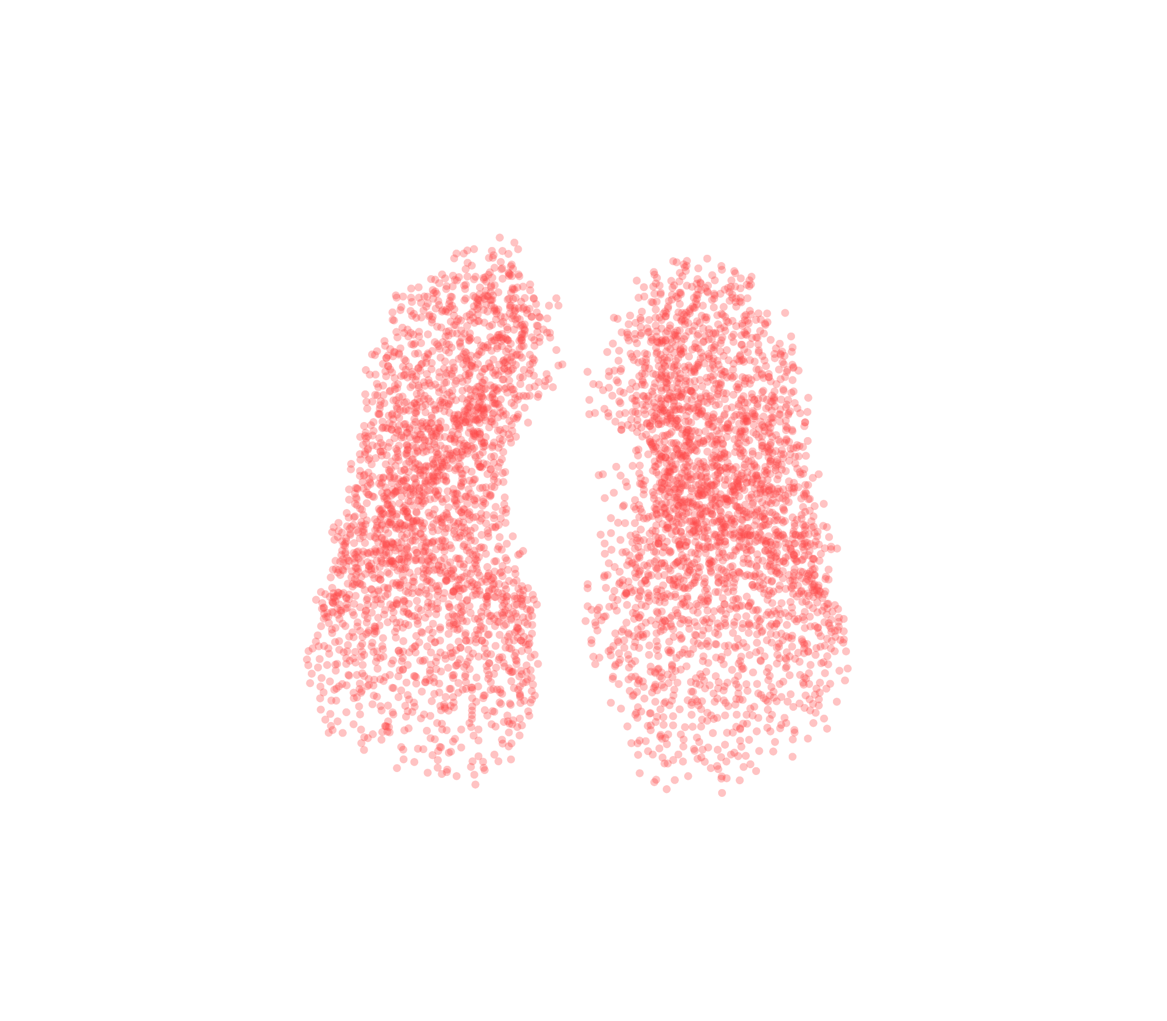 Point Cloud (Expiration) - Front View