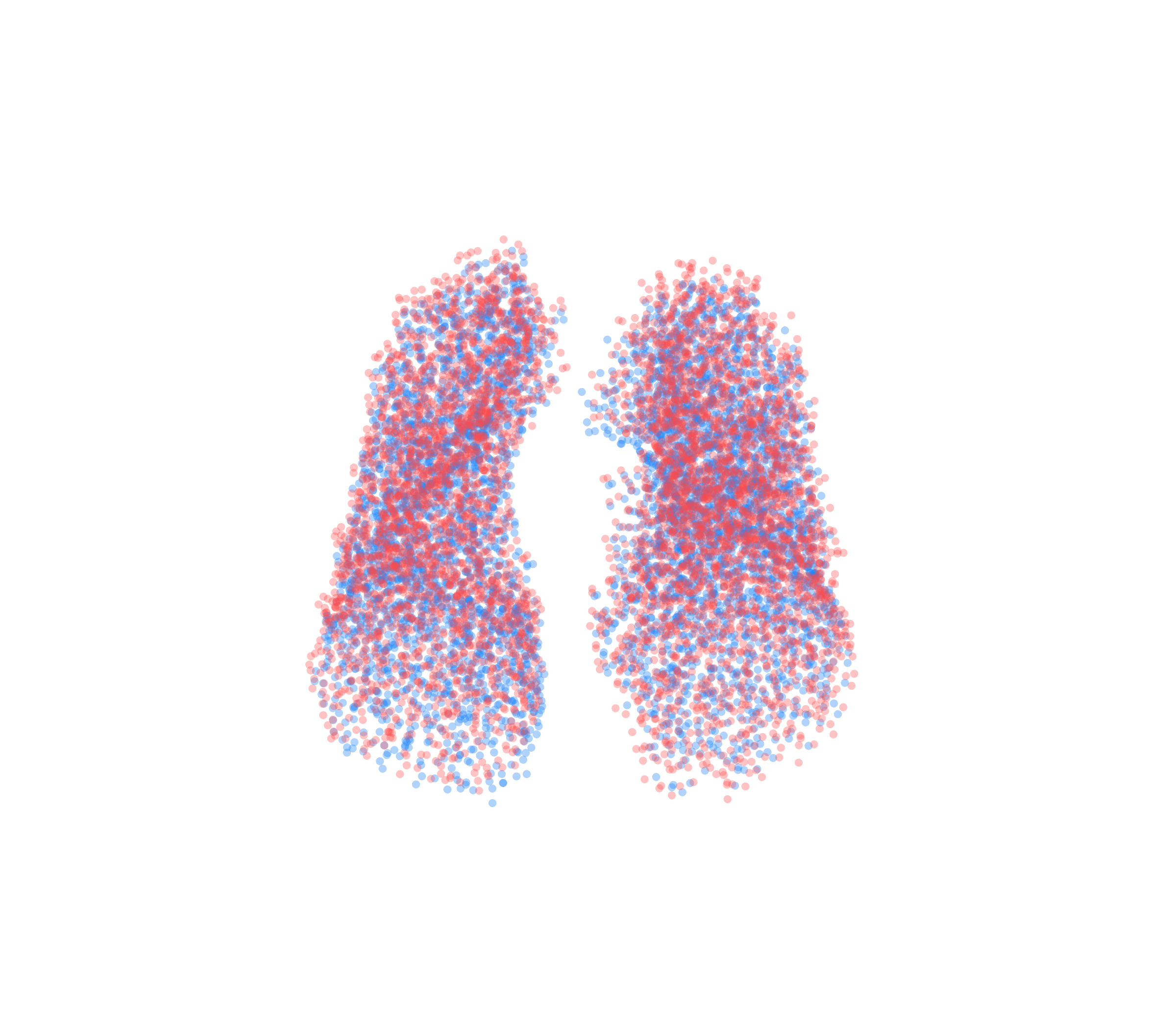 Point Cloud - Front View