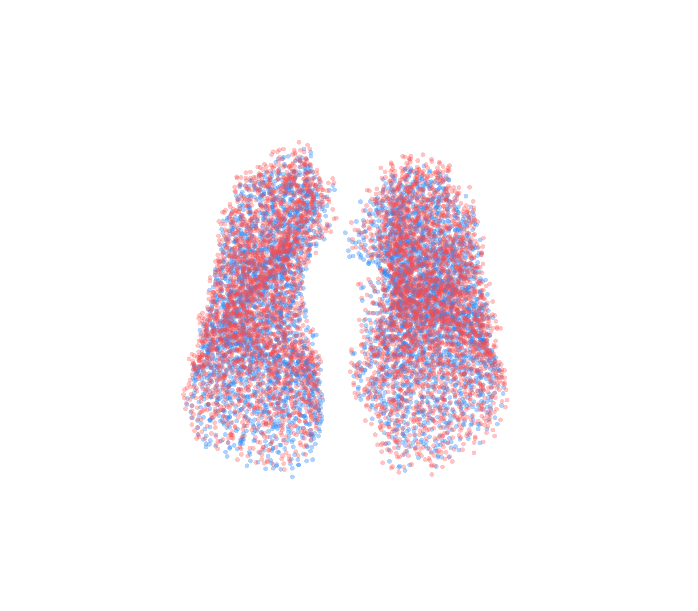 Point Cloud - Front View
