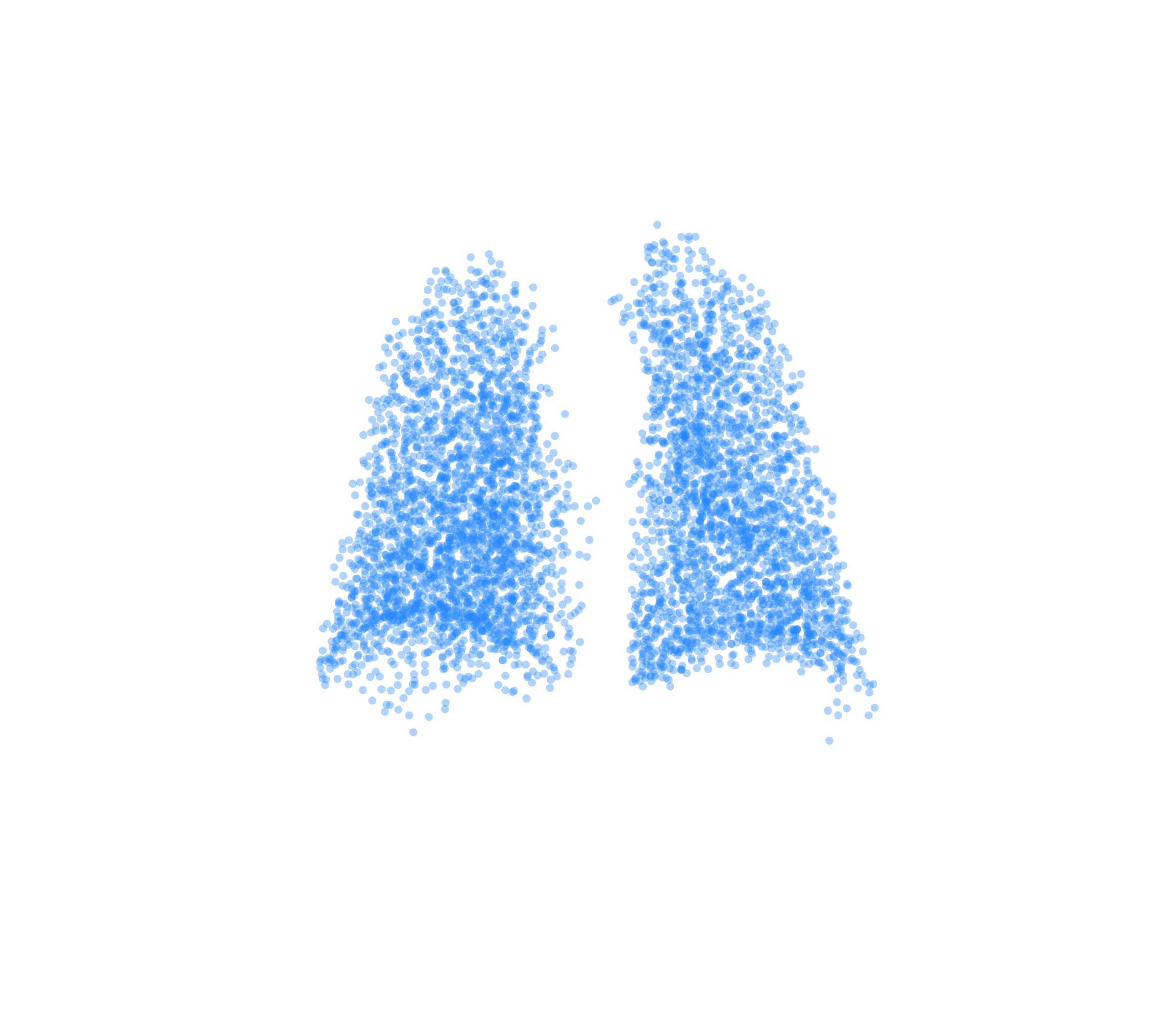 Point Cloud (Inspiration) - Back View