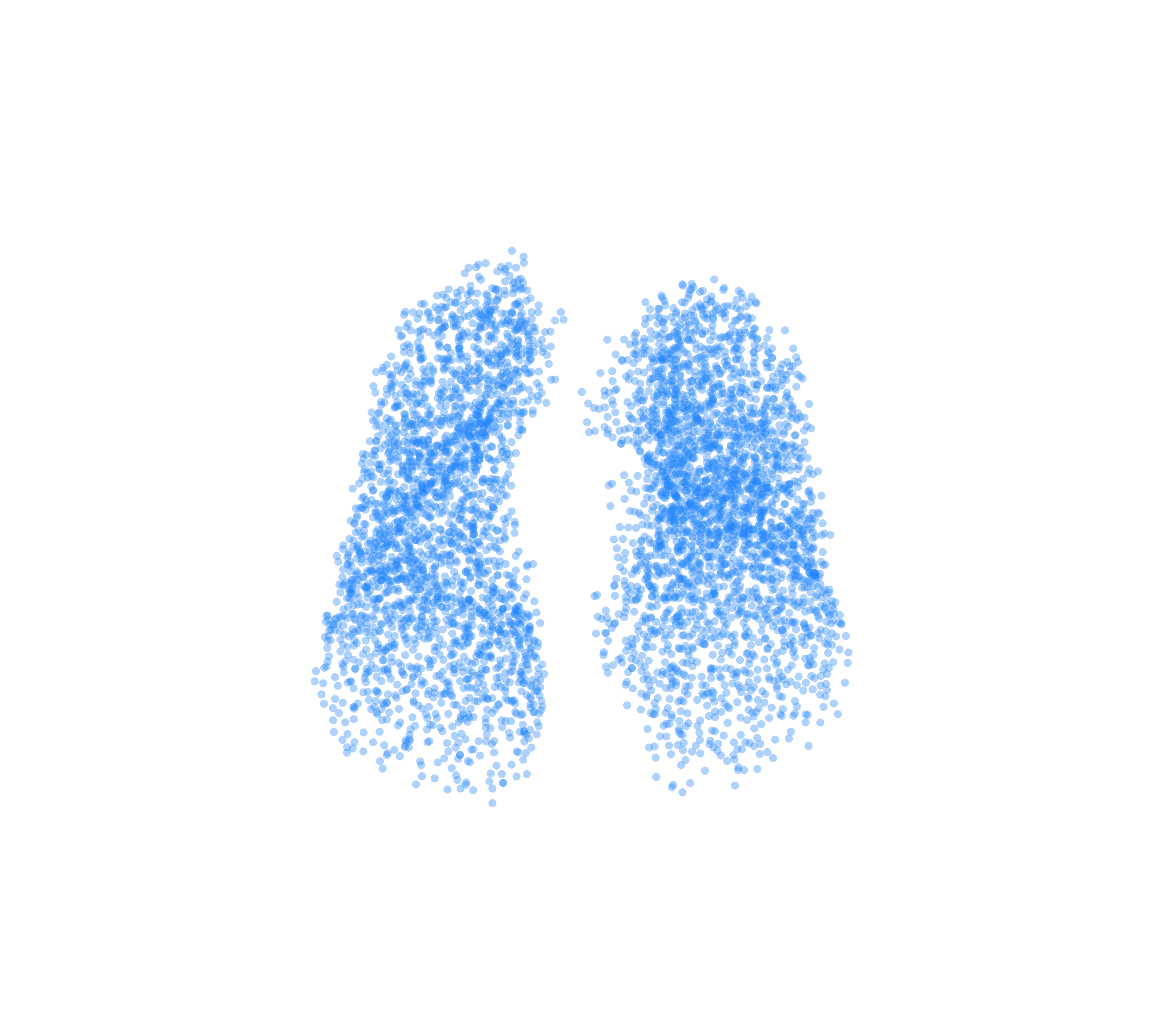 Point Cloud (Inspiration) - Front View