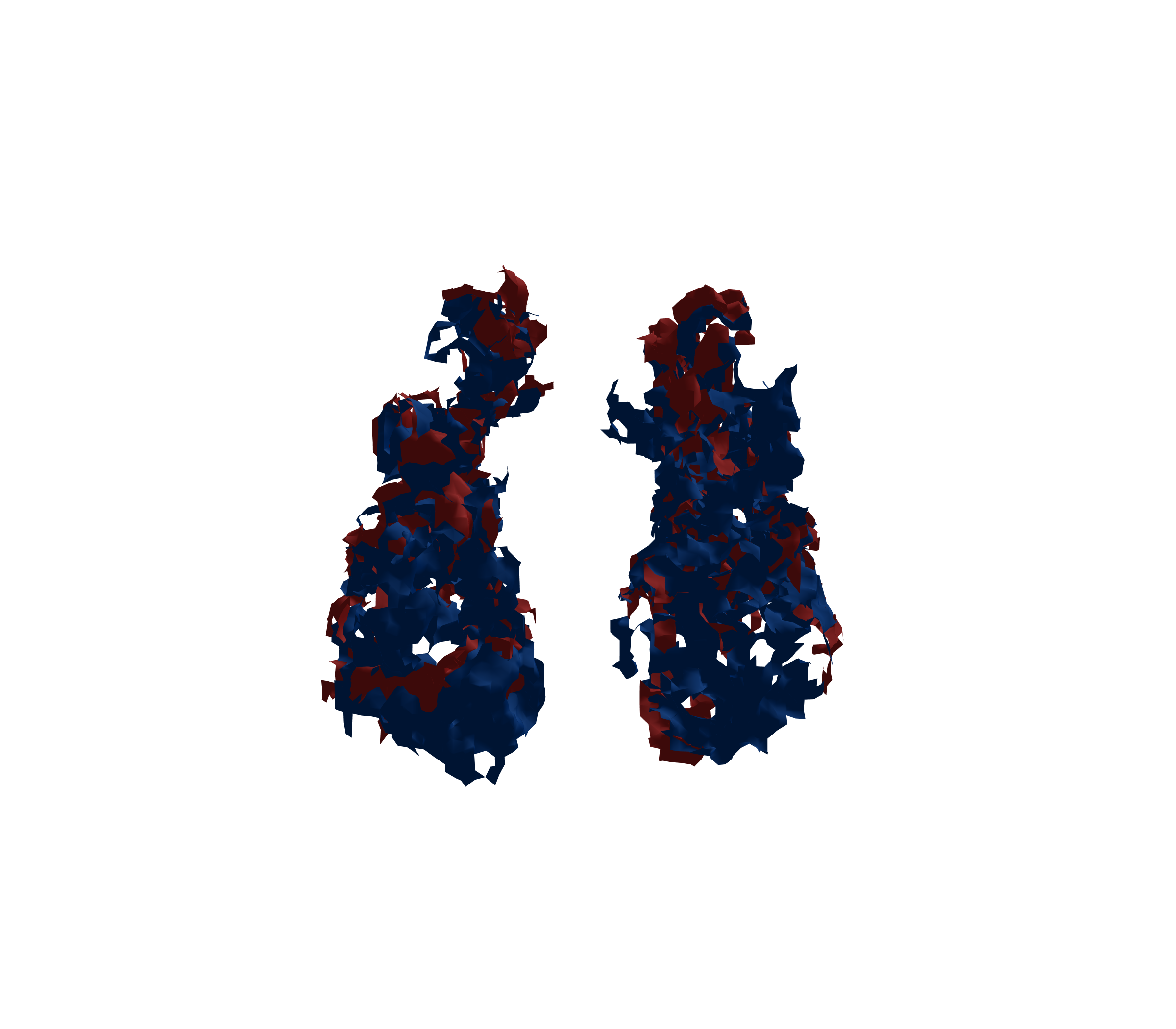 Surface Mesh - Front View