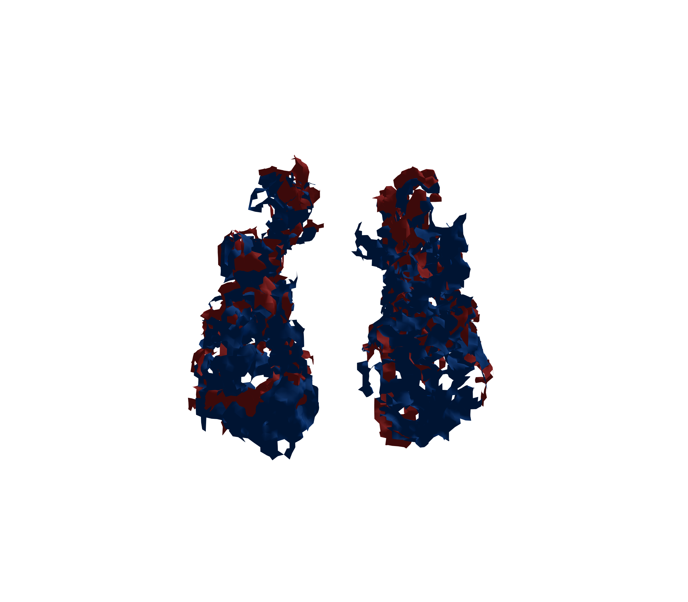 Surface Mesh - Front View