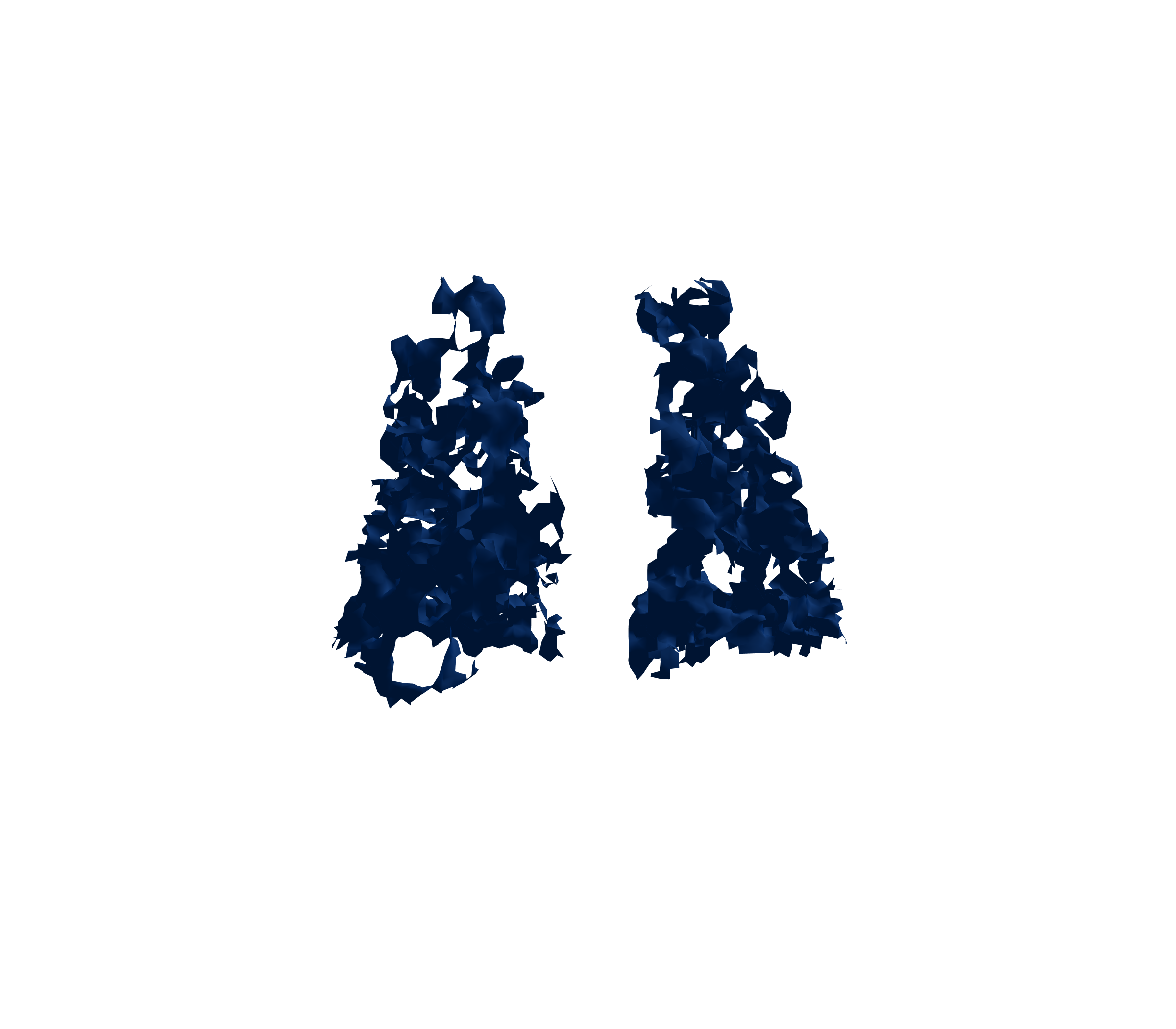 Surface Mesh (Inspiration) - Back View