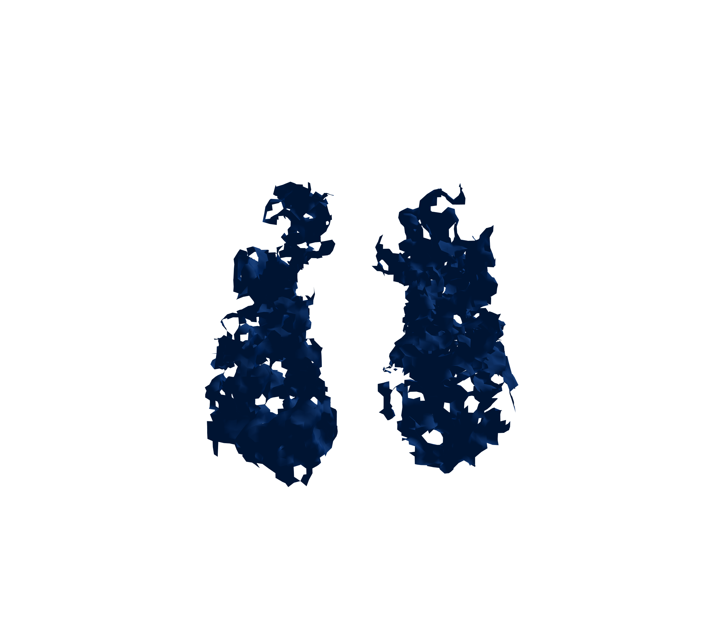 Surface Mesh (Inspiration) - Front View