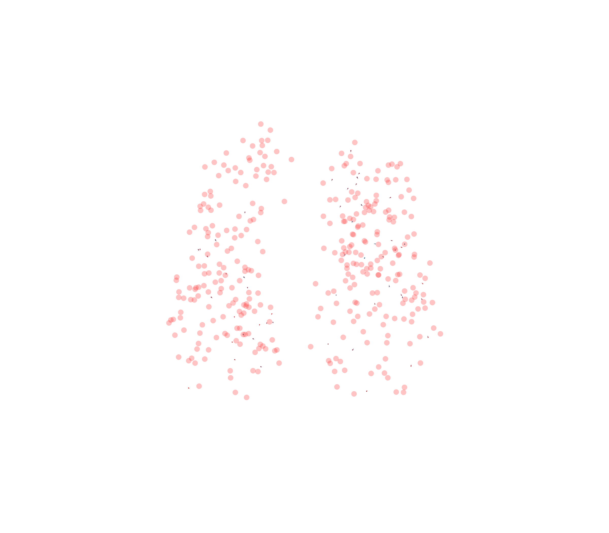 Displacement Vectors - Front View