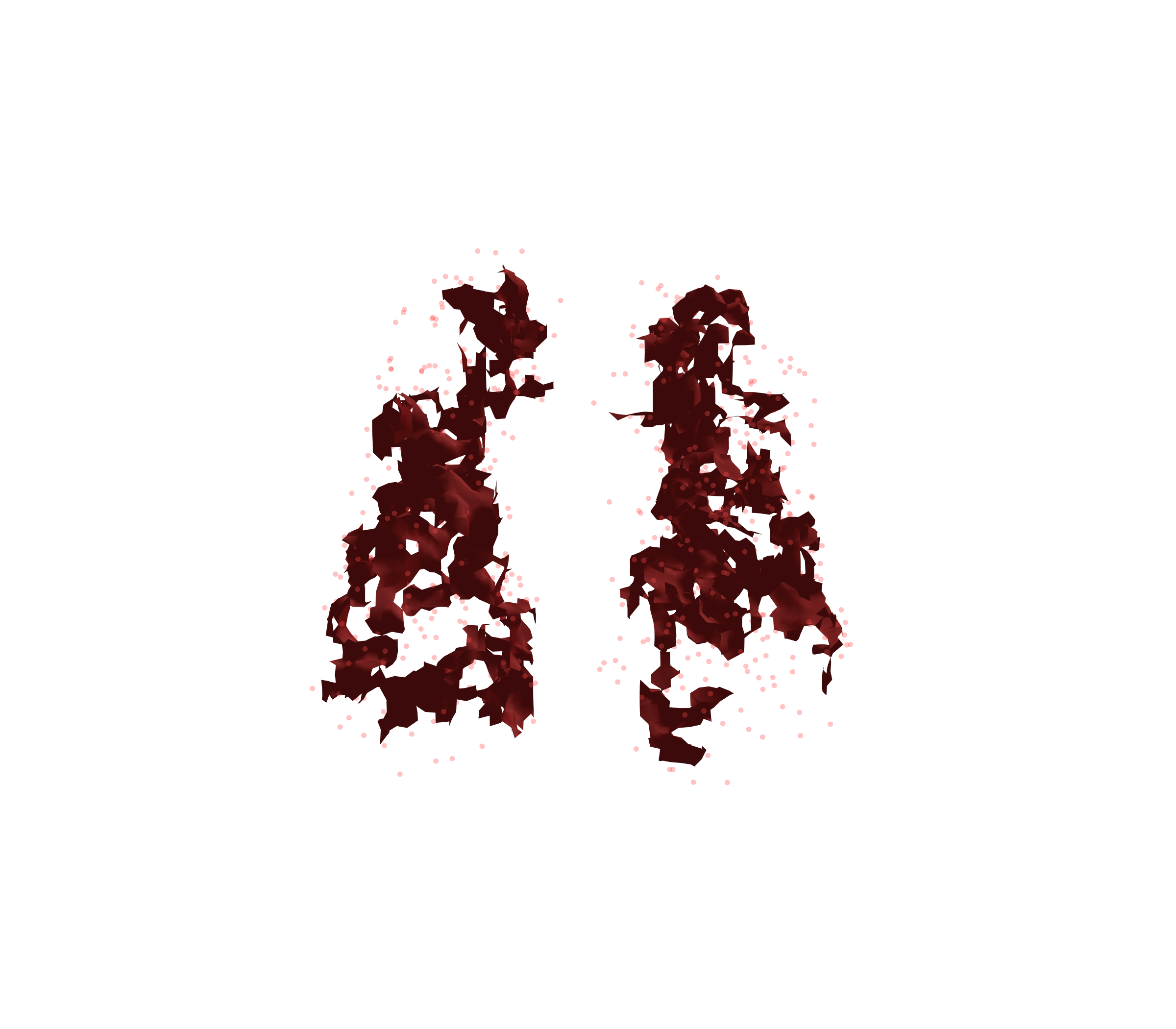 Combined Visualization (Expiration) - Front View