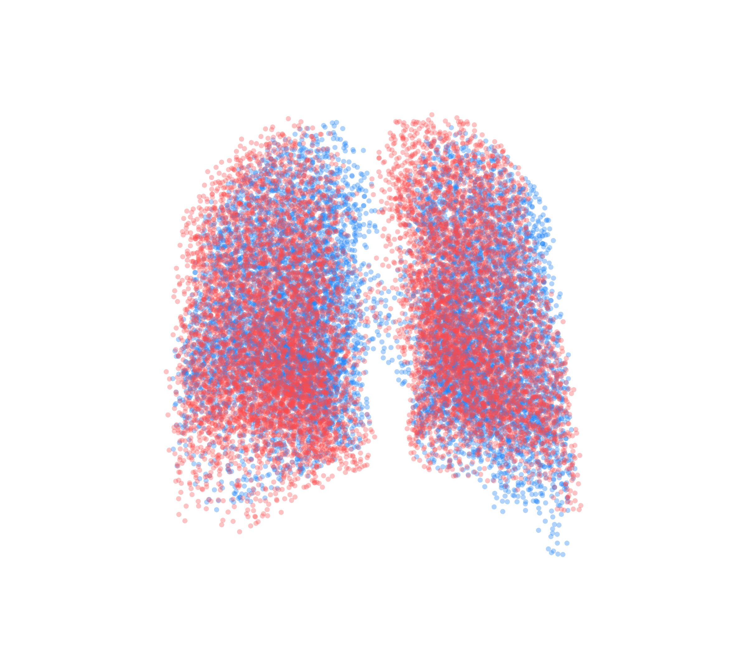 Point Cloud - Back View