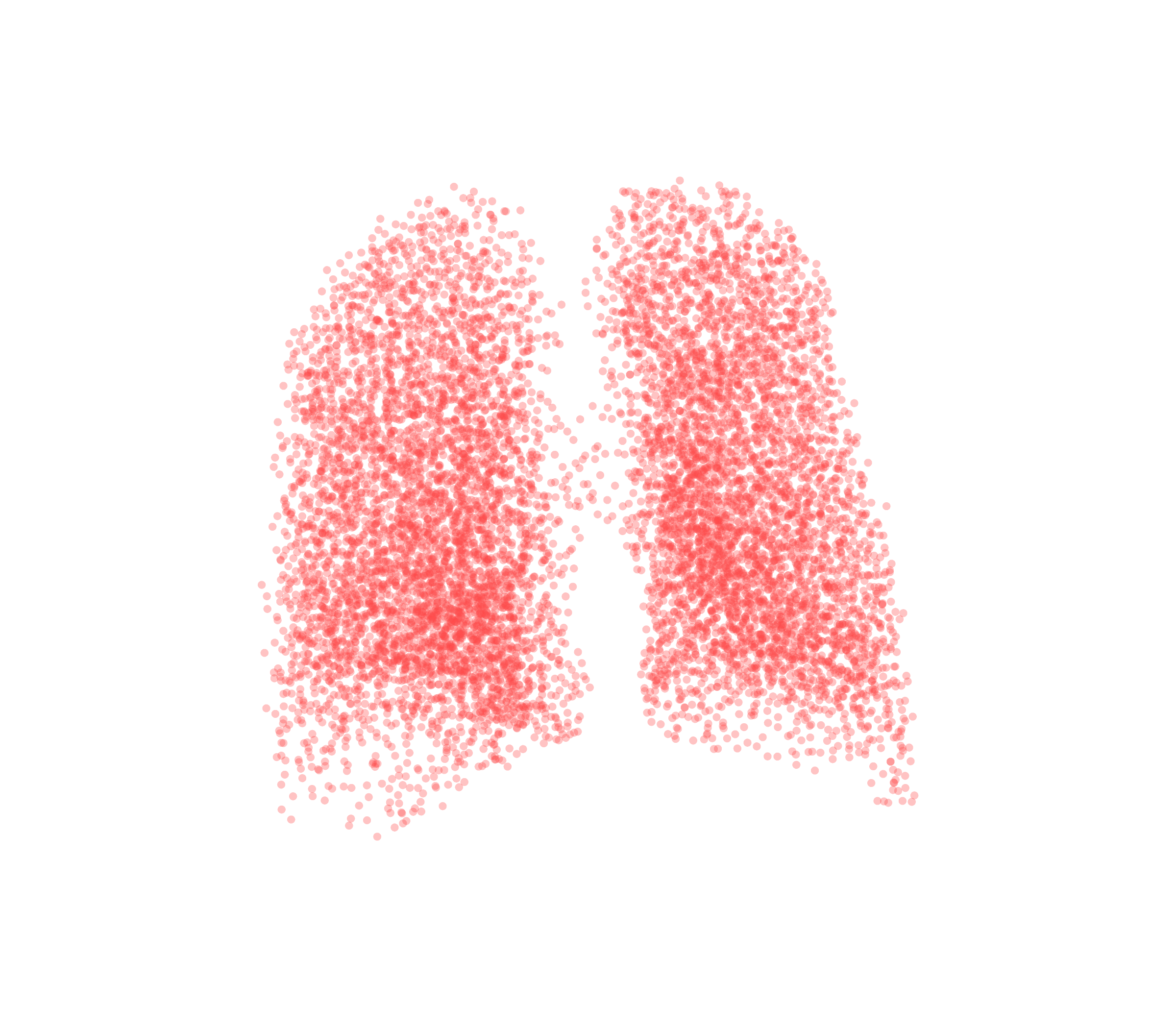 Point Cloud (Expiration) - Back View
