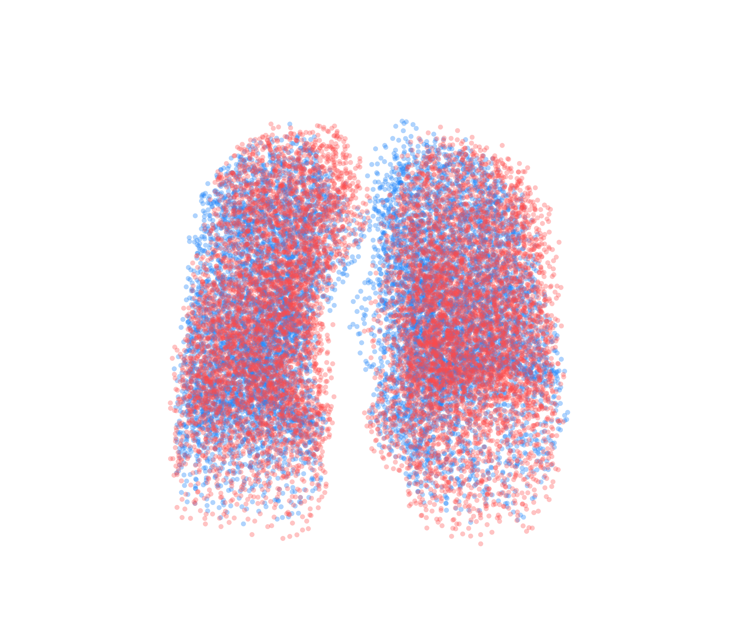 Point Cloud - Front View