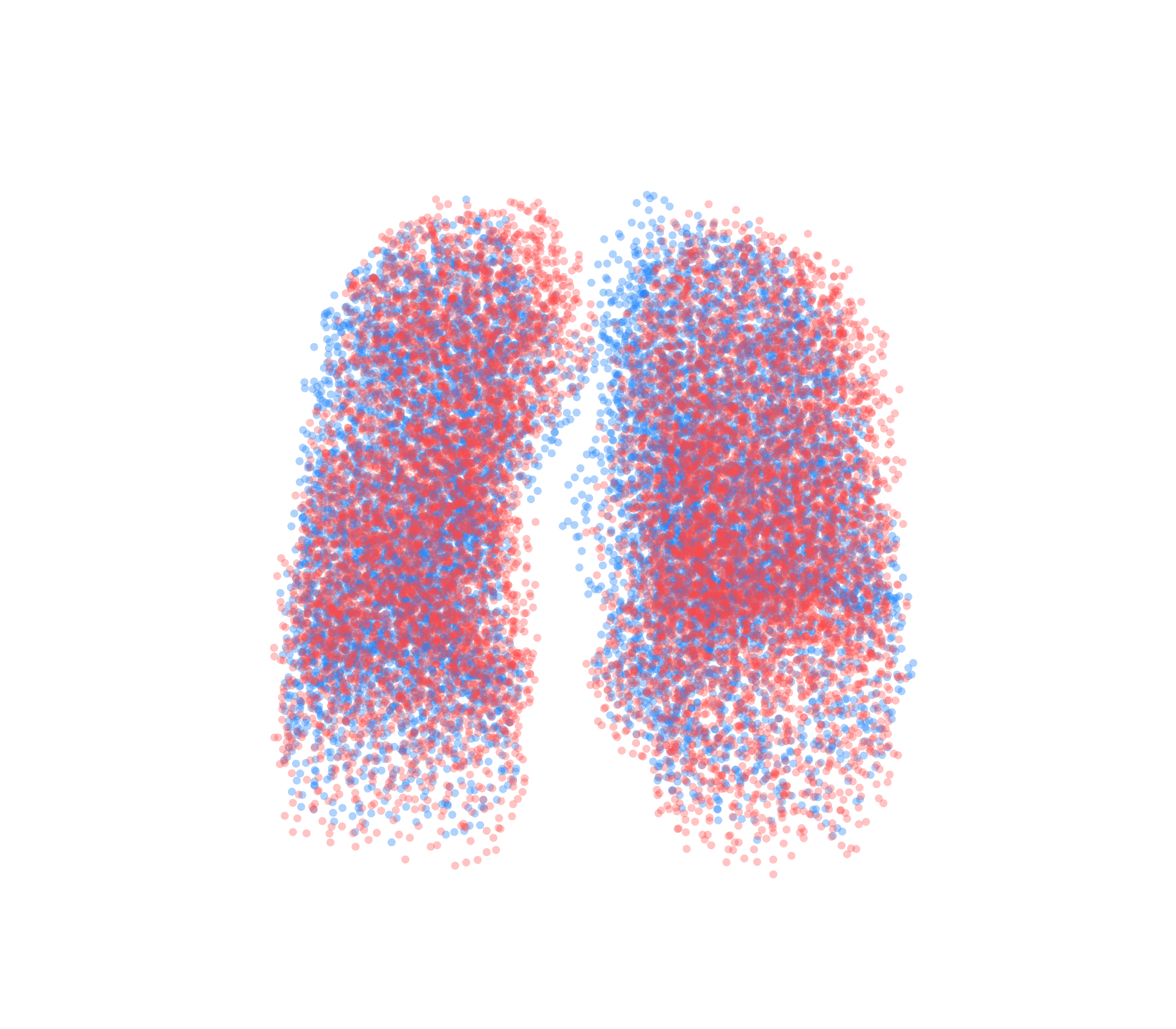 Point Cloud - Front View
