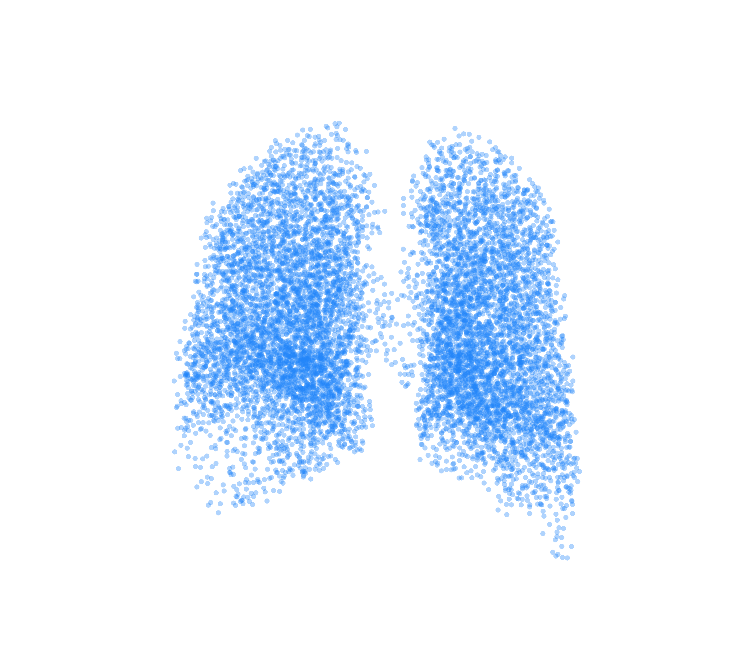 Point Cloud (Inspiration) - Back View