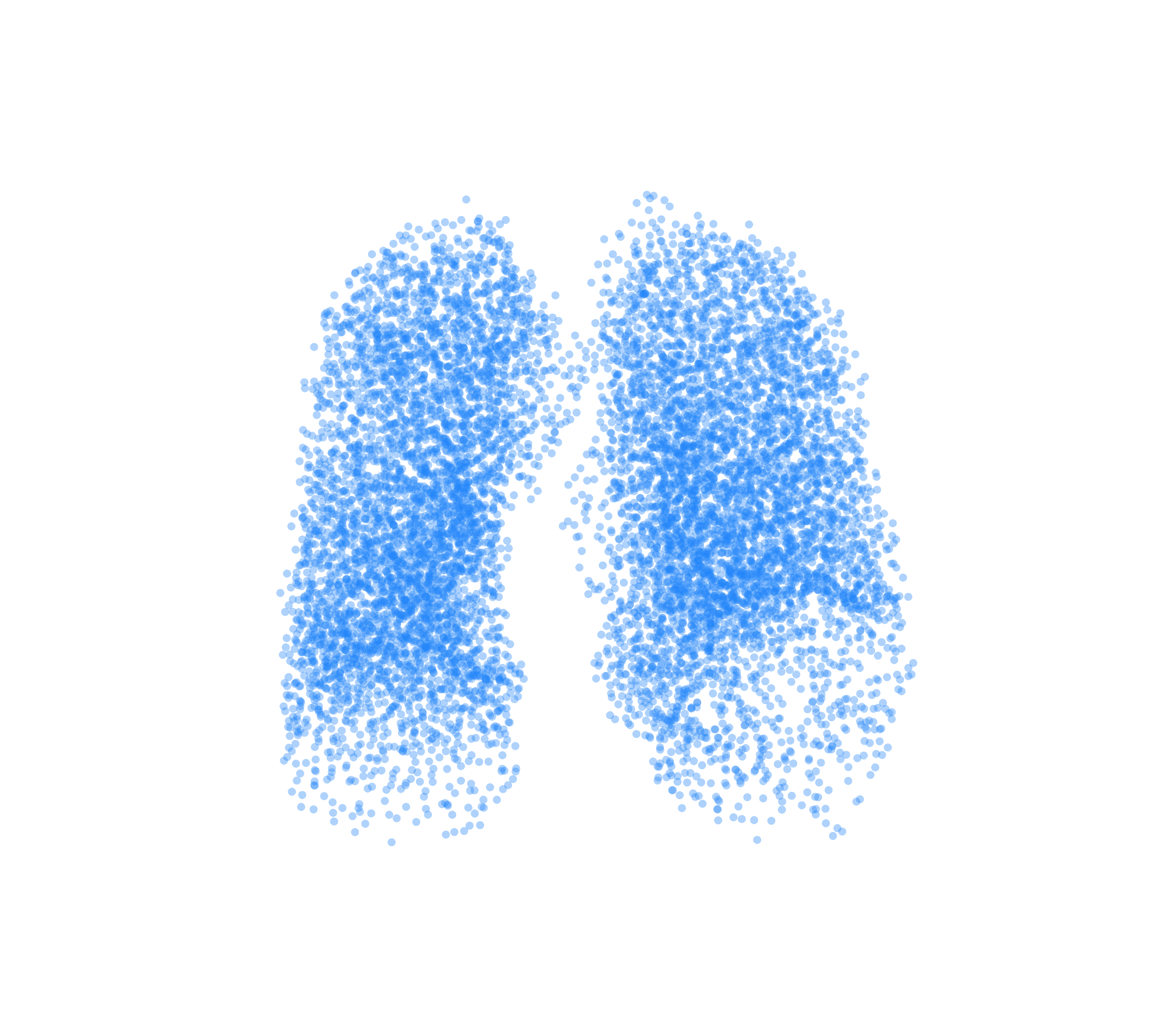 Point Cloud (Inspiration) - Front View