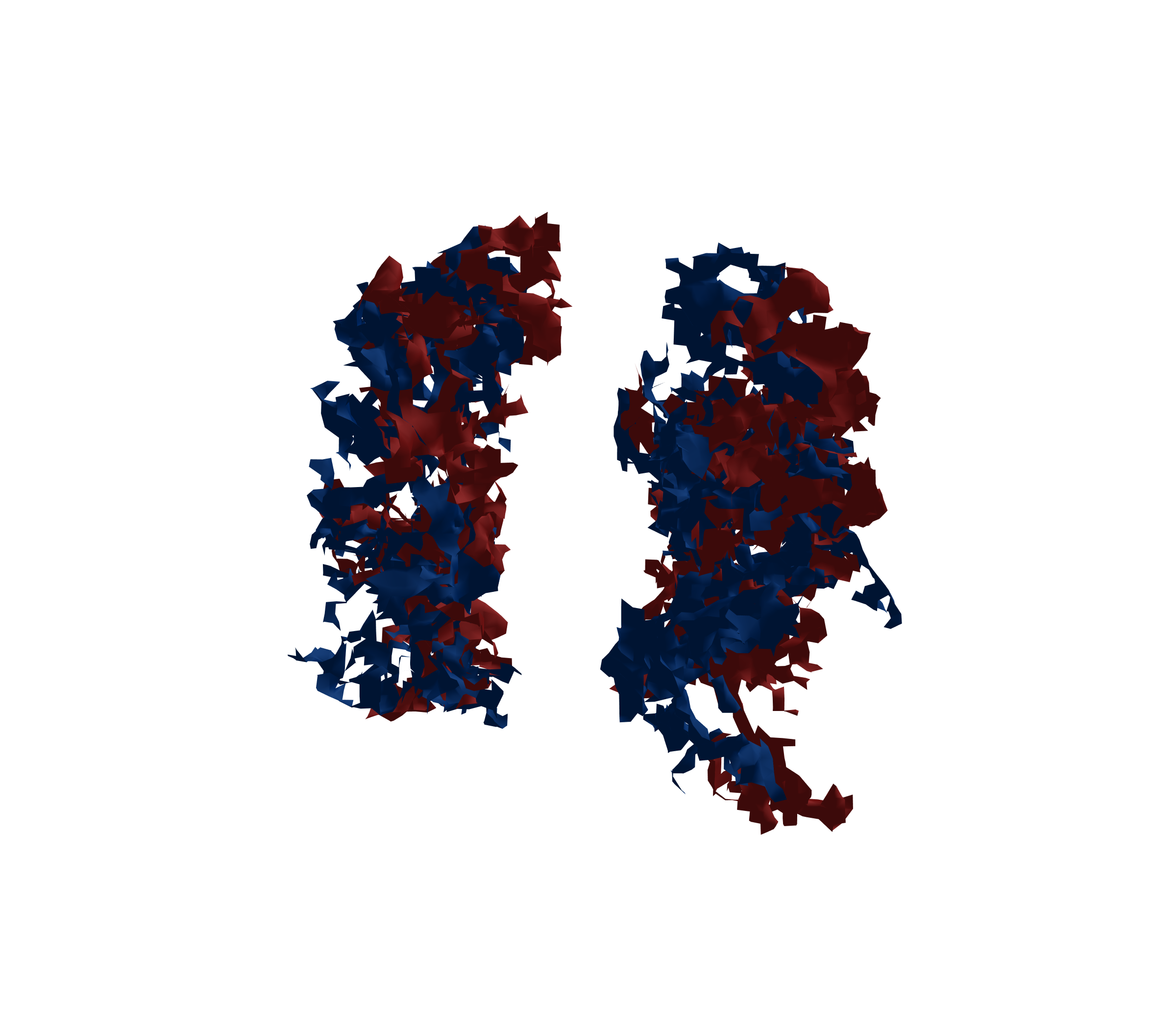 Surface Mesh - Front View