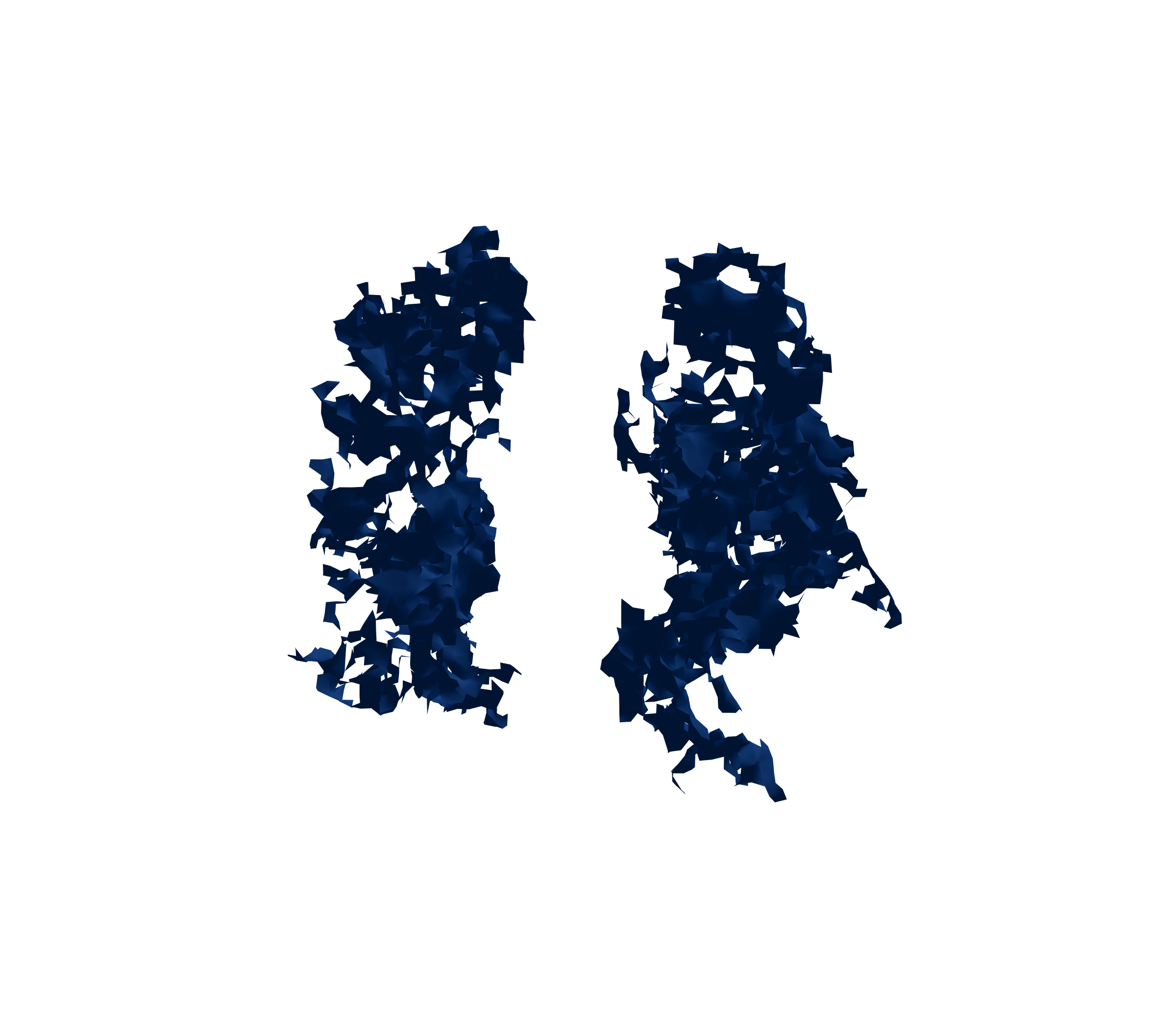 Surface Mesh (Inspiration) - Front View