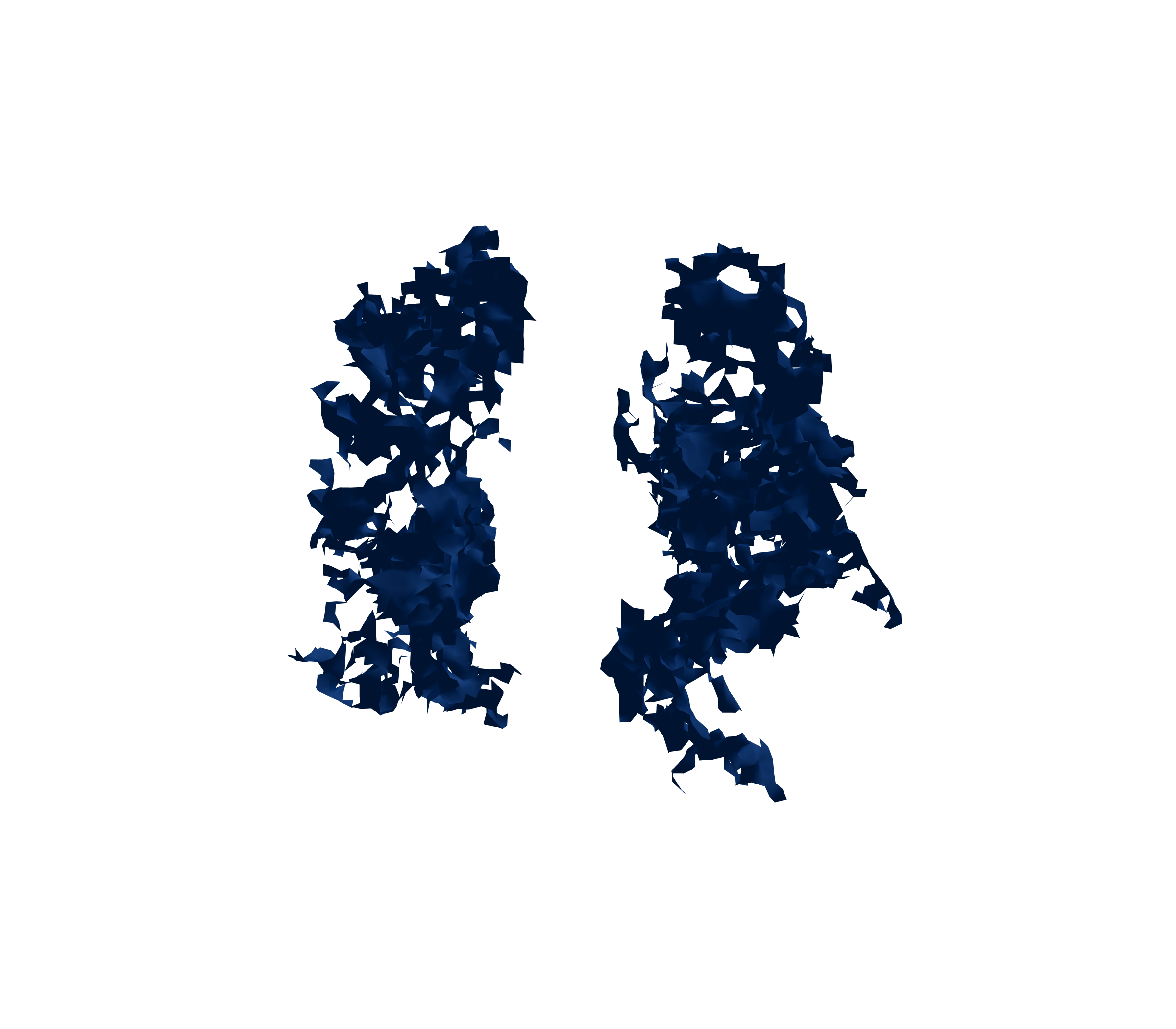 Surface Mesh (Inspiration) - Front View