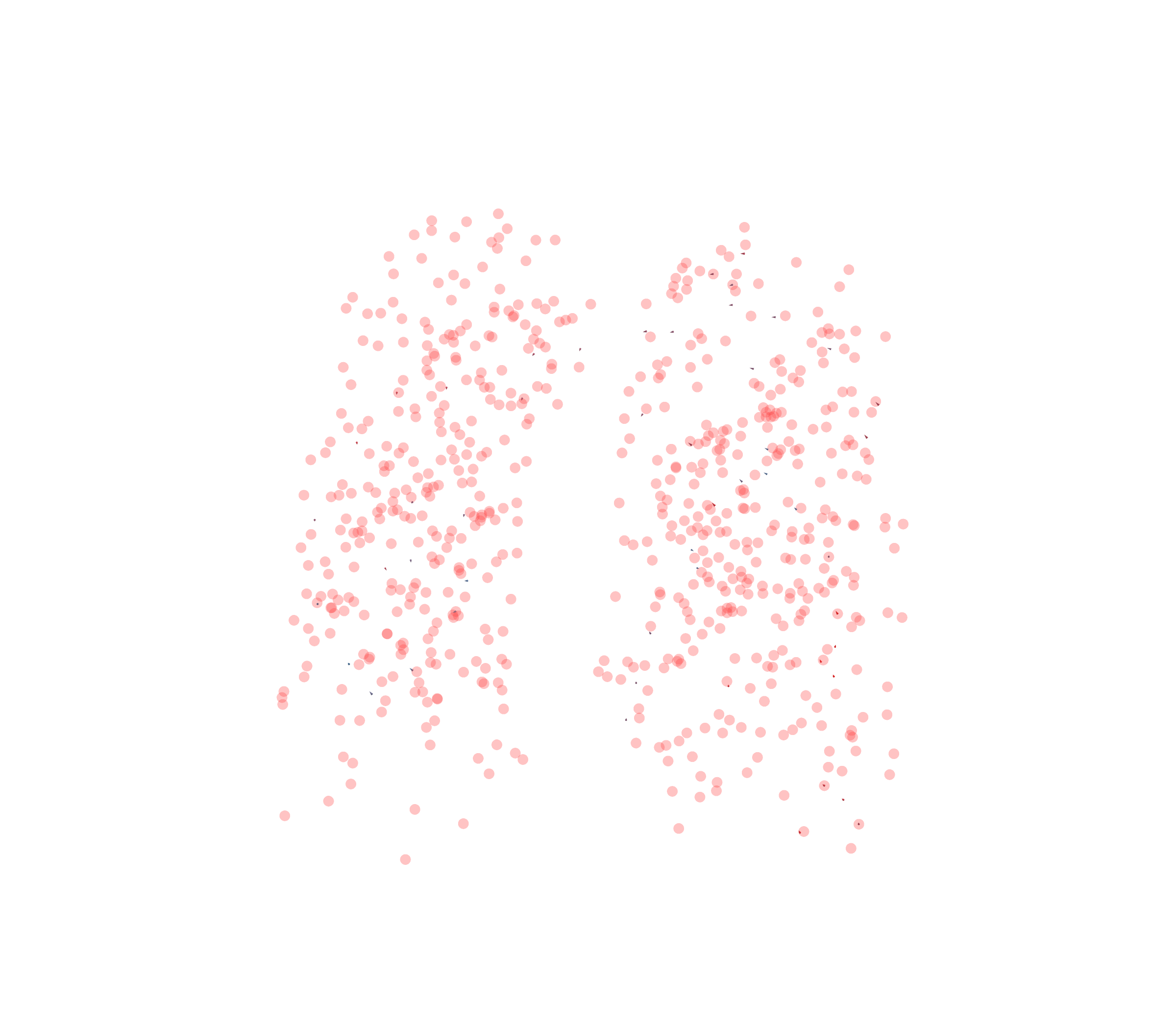 Displacement Vectors - Front View