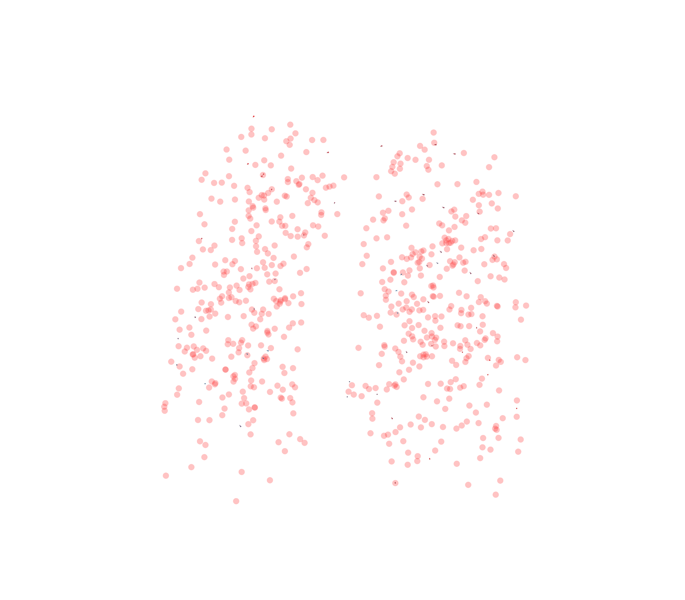 Displacement Vectors - Front View