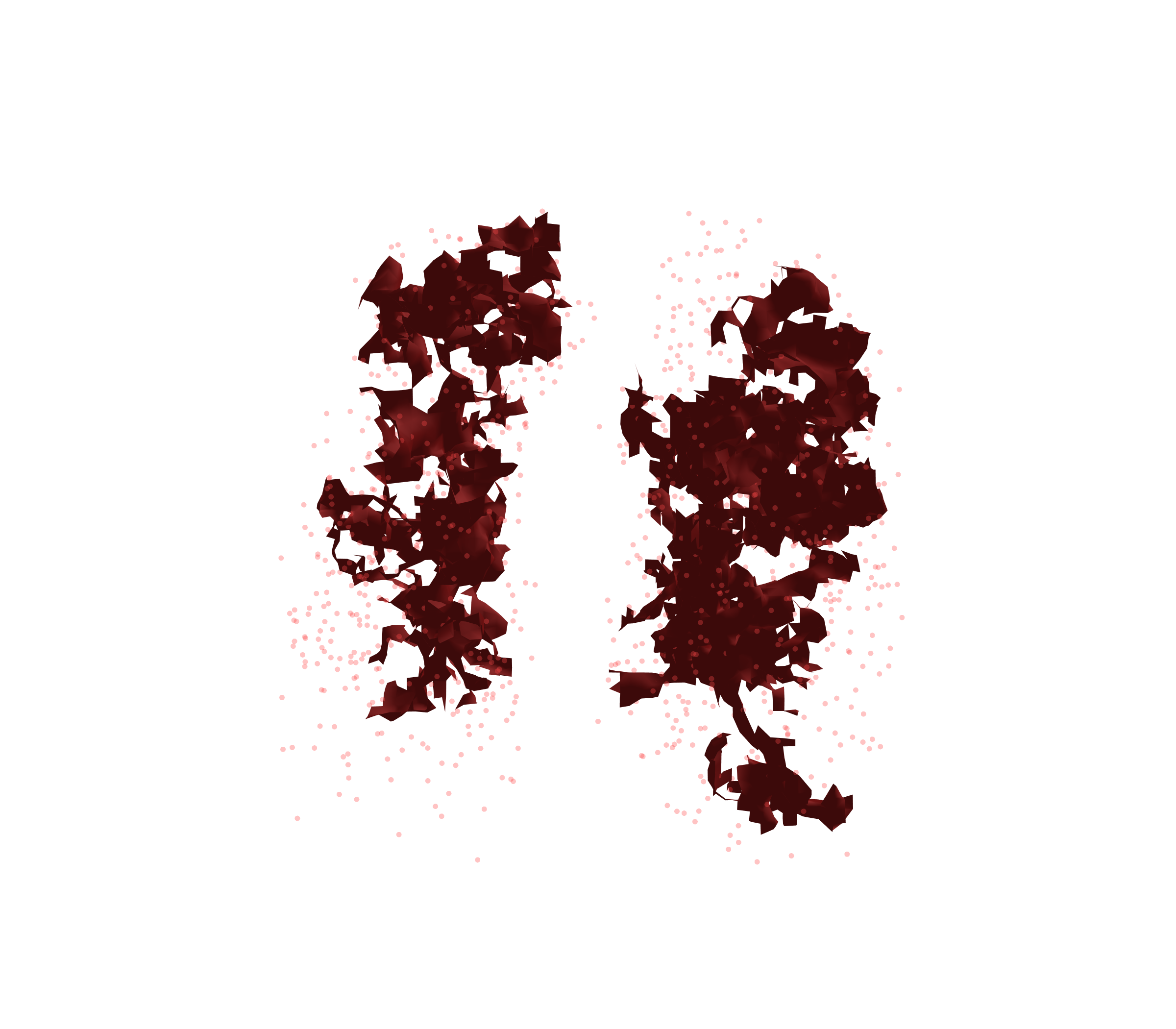 Combined Visualization (Expiration) - Front View