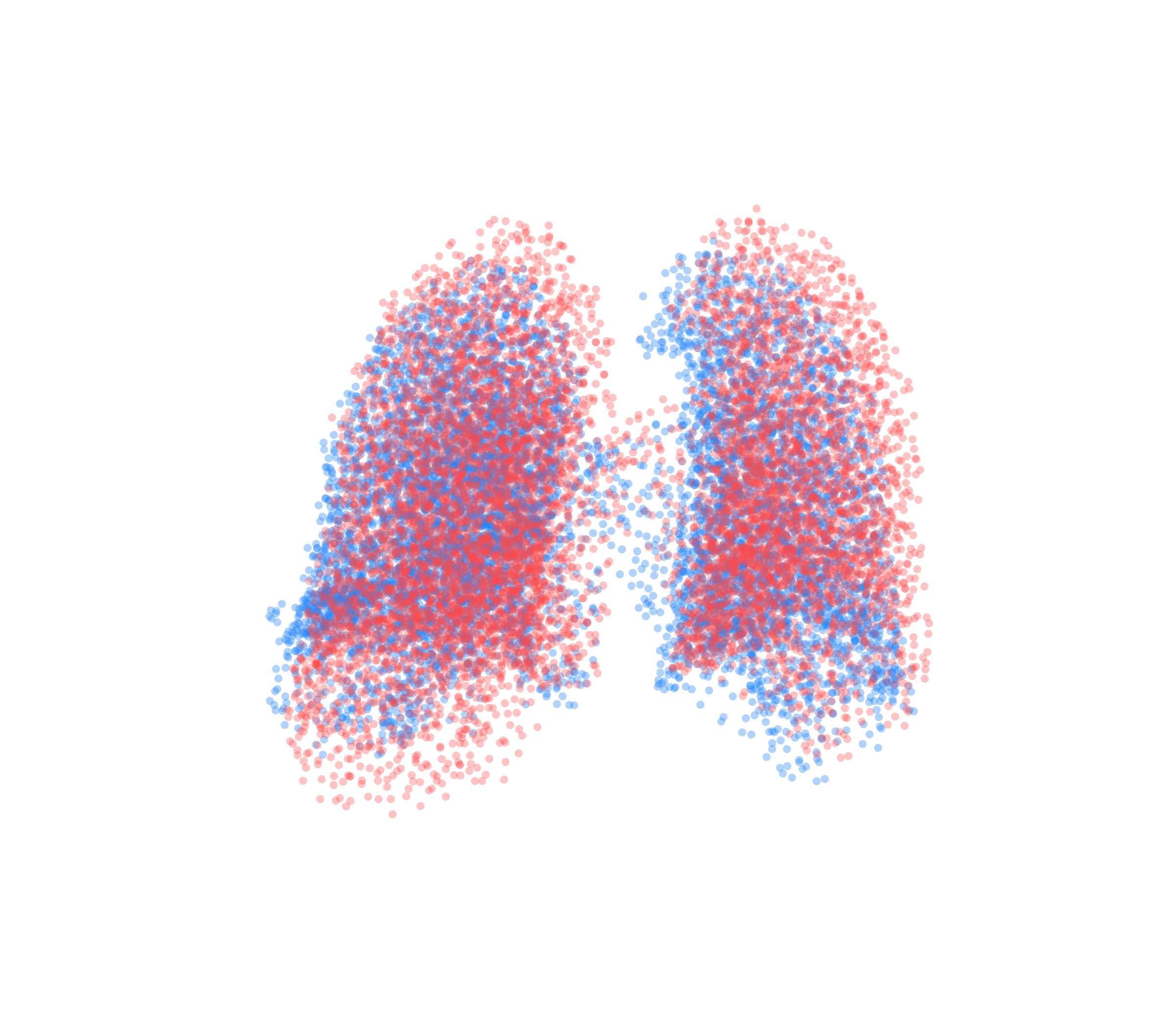 Point Cloud - Back View