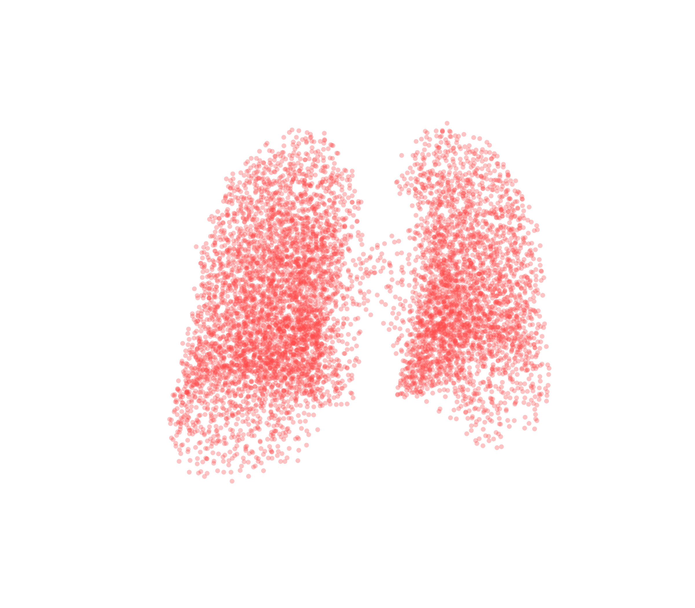 Point Cloud (Expiration) - Back View