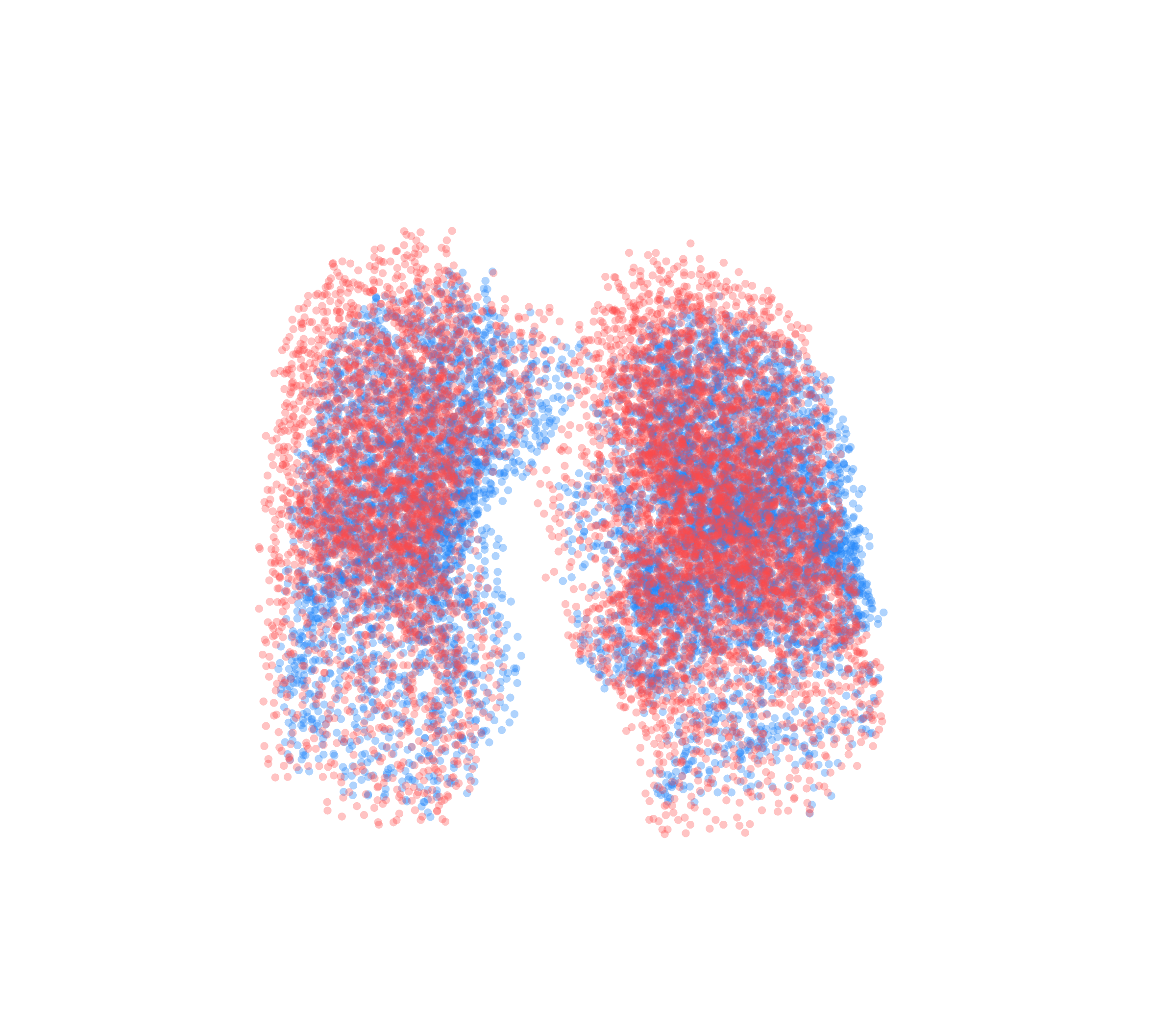 Point Cloud - Front View