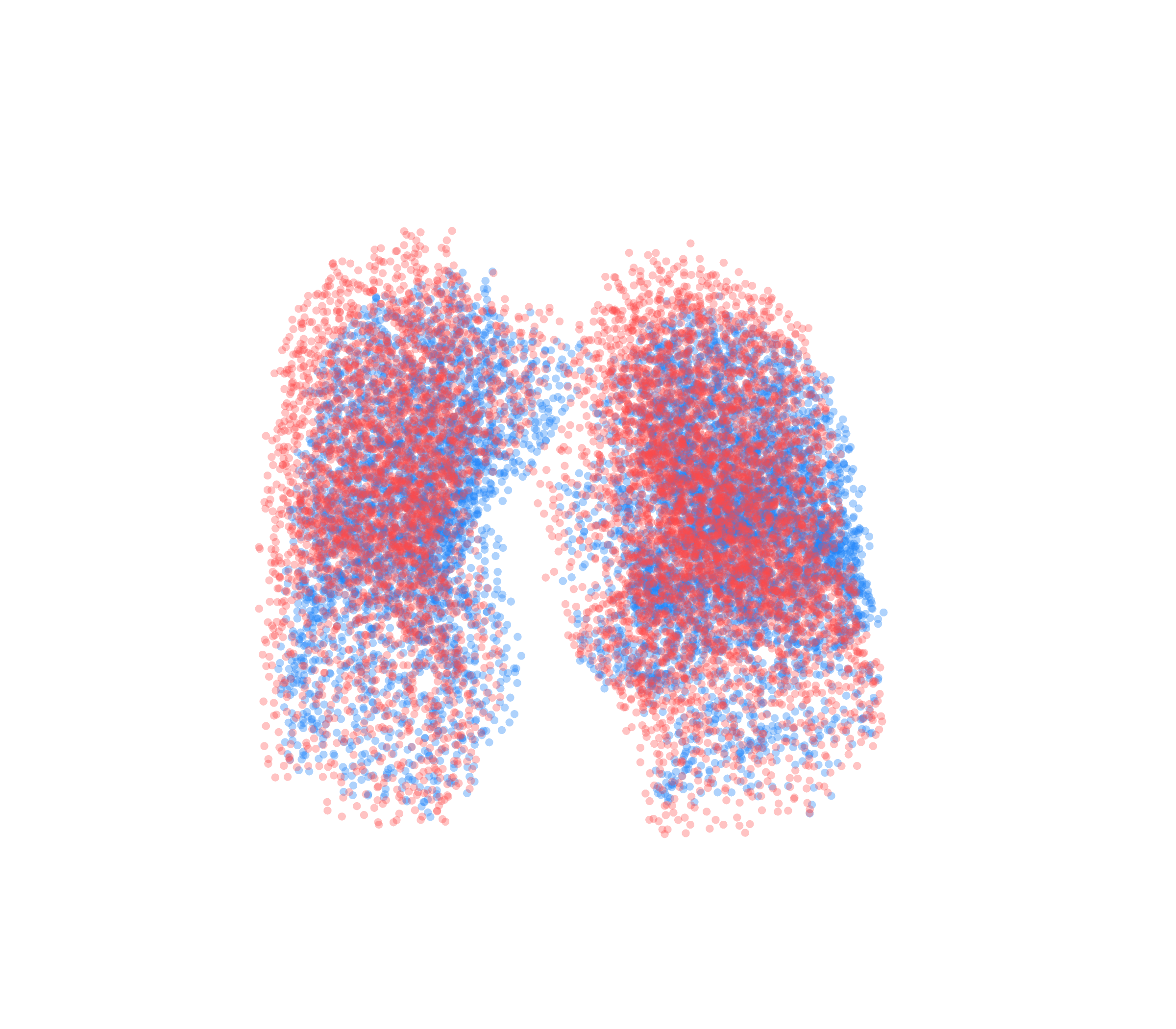 Point Cloud - Front View