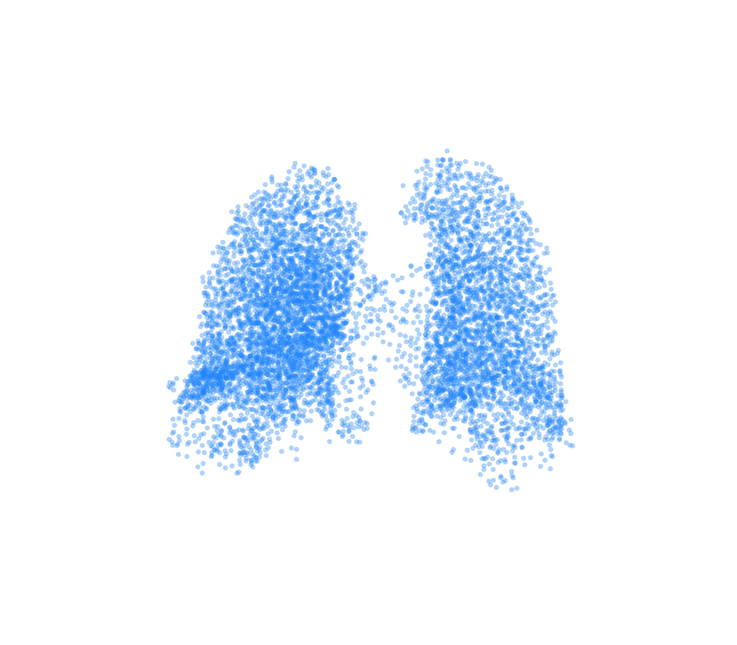 Point Cloud (Inspiration) - Back View