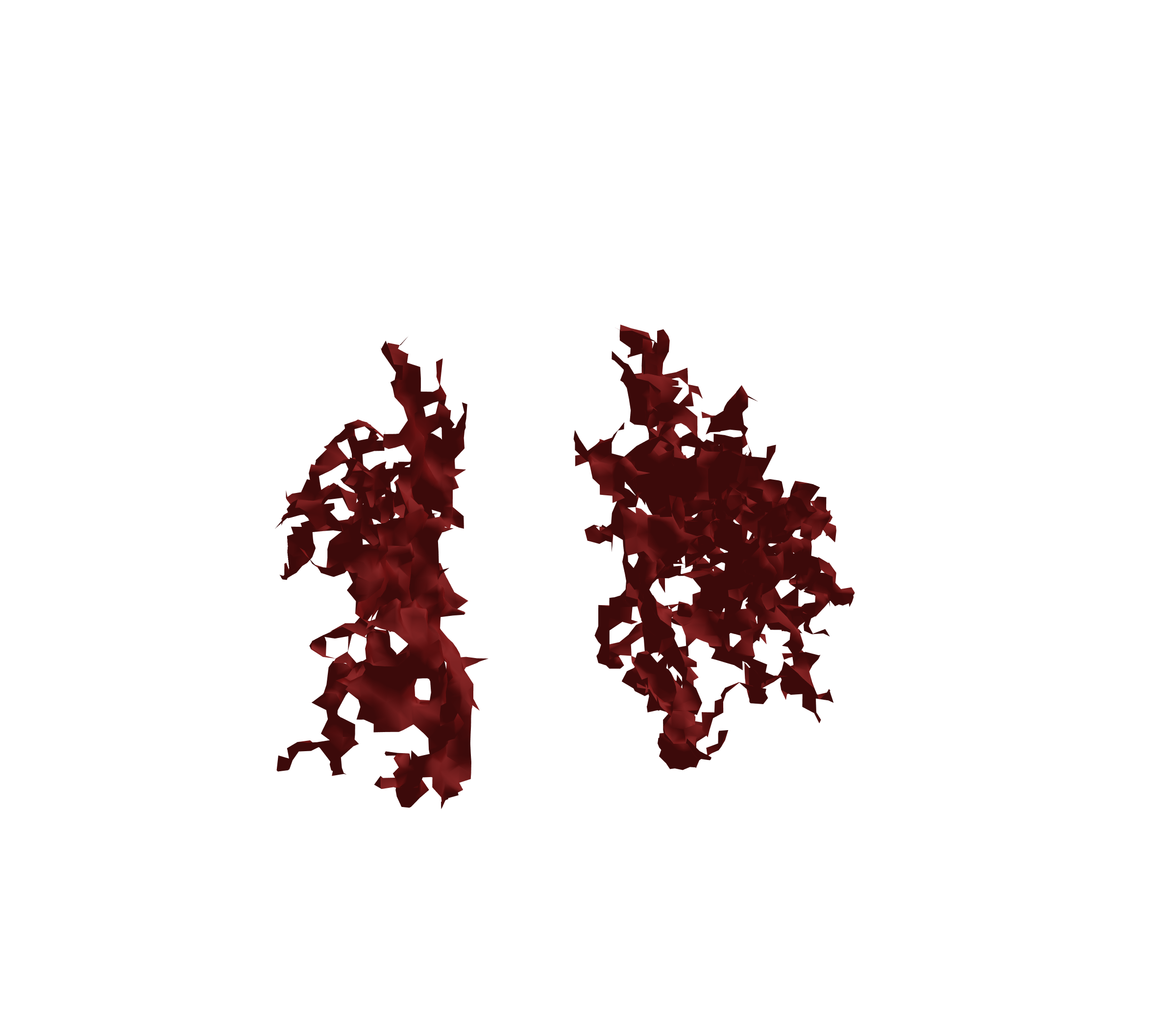 Surface Mesh (Expiration) - Front View