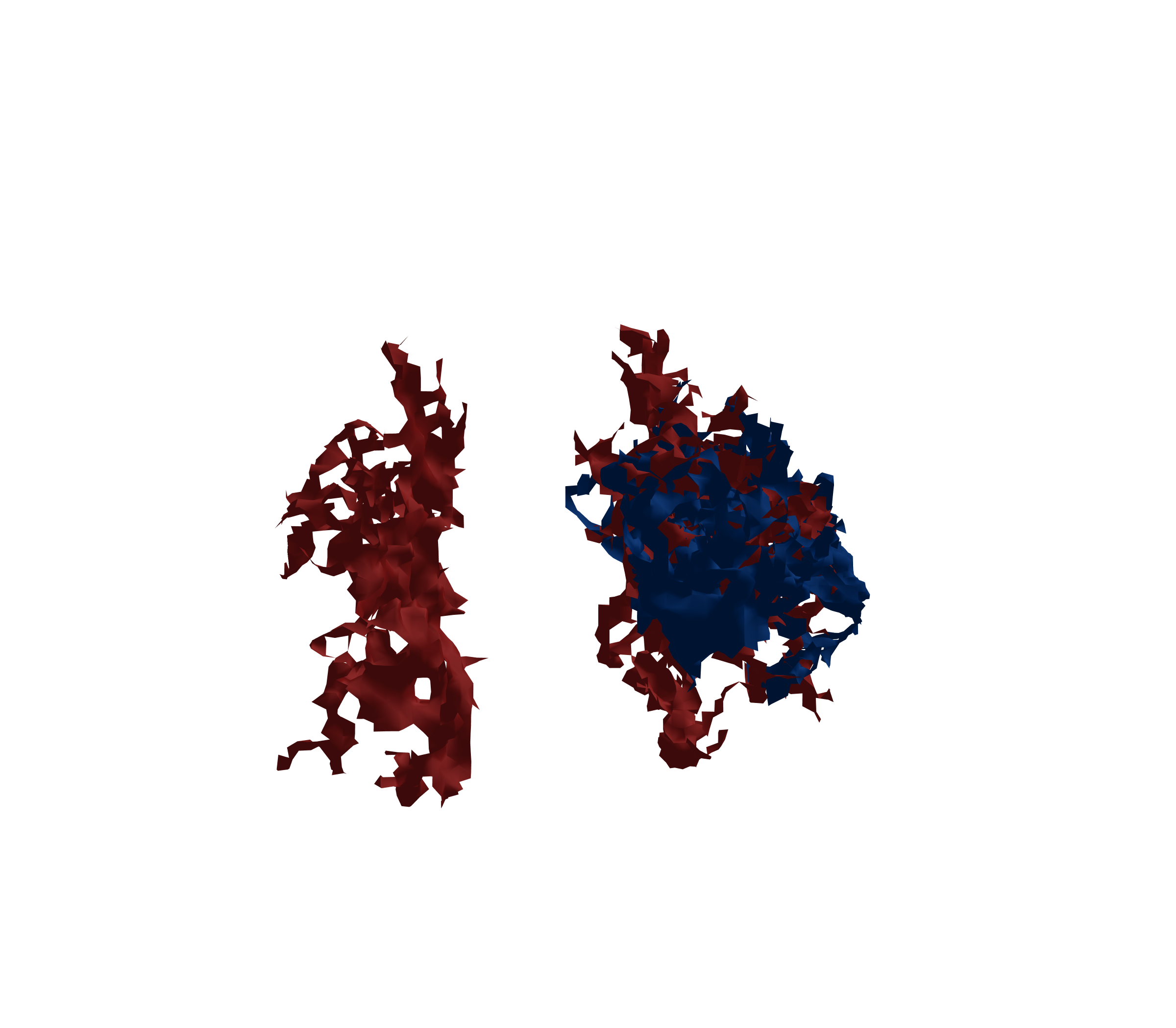 Surface Mesh - Front View