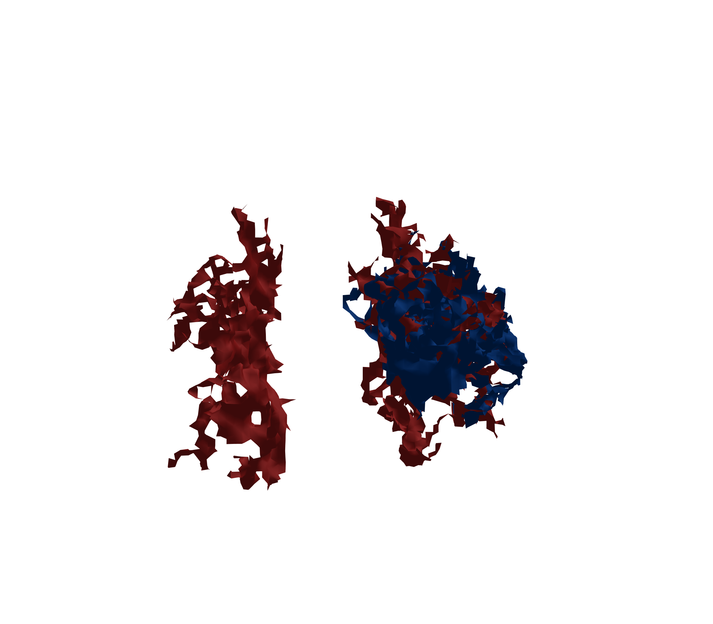 Surface Mesh - Front View