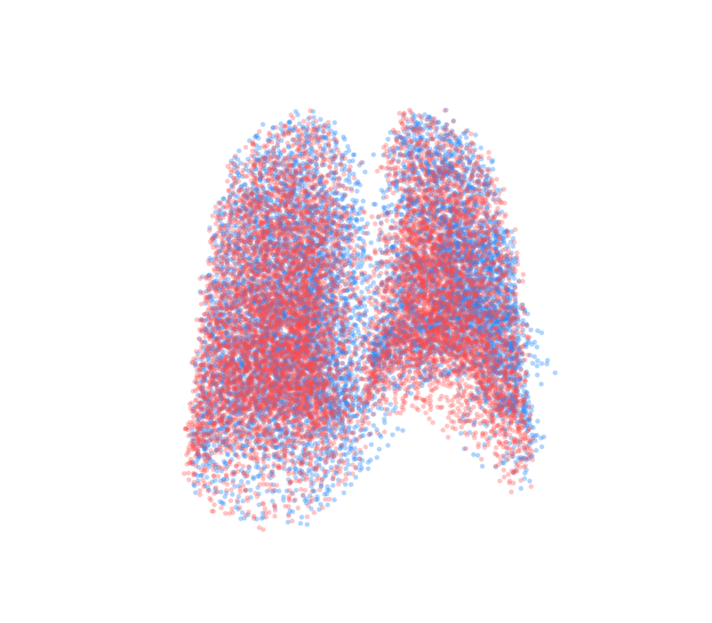 Point Cloud - Back View