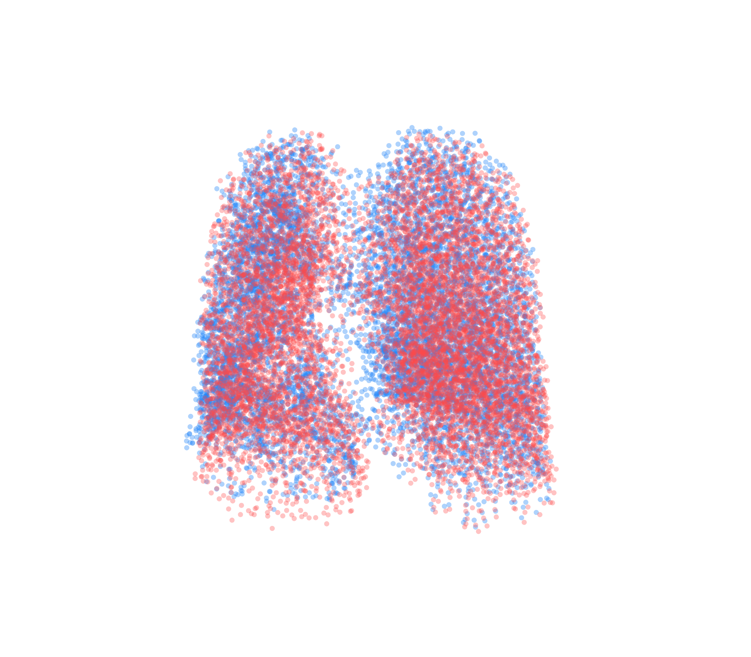 Point Cloud - Front View