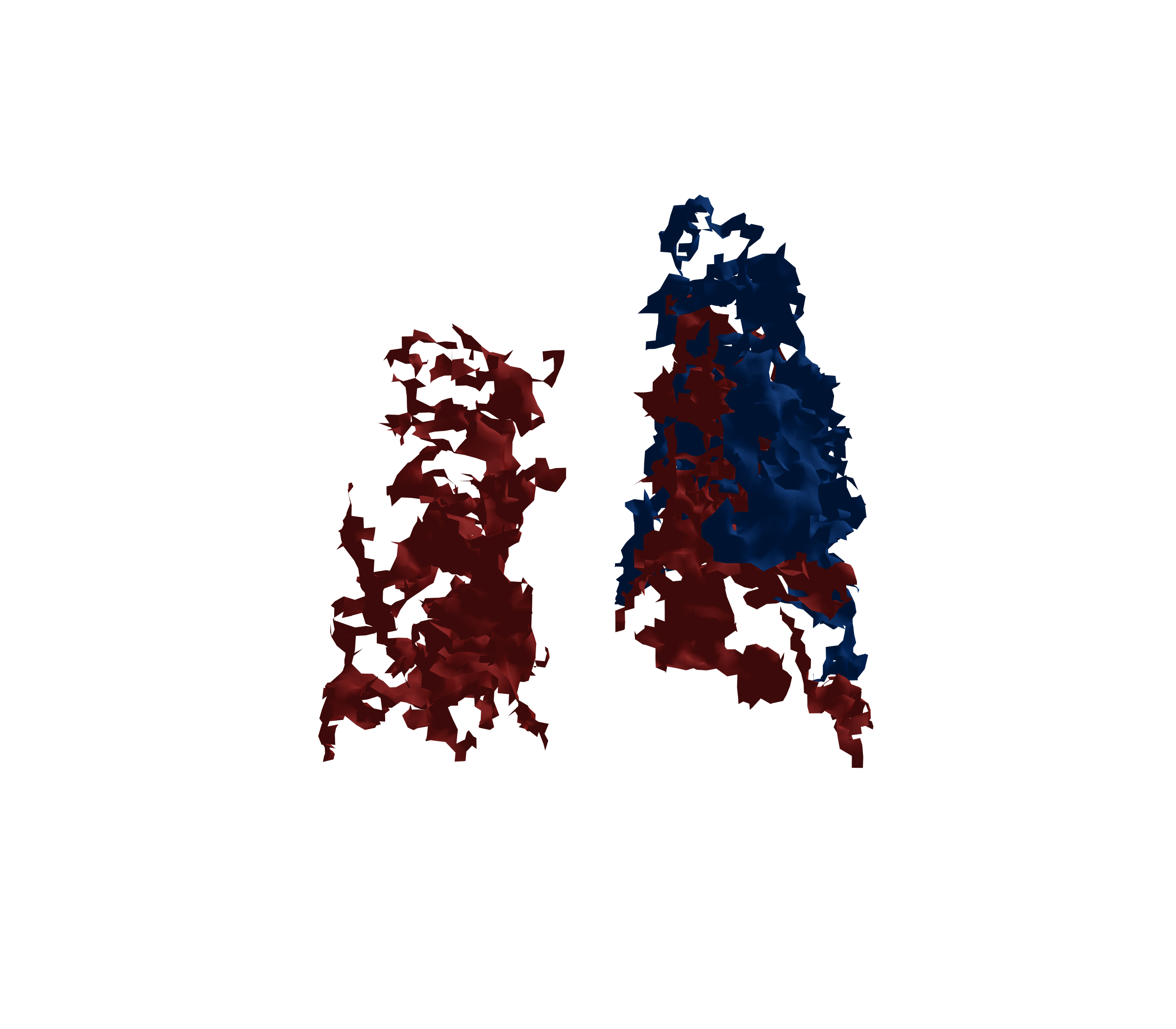 Surface Mesh - Back View