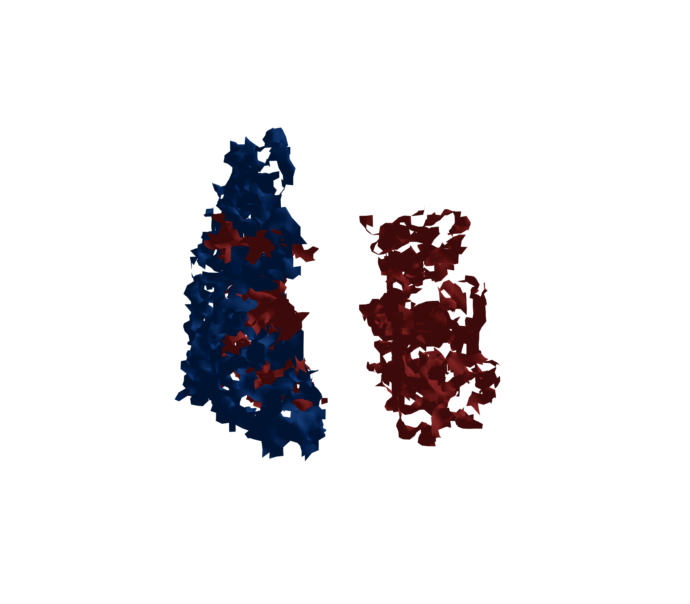 Surface Mesh - Front View