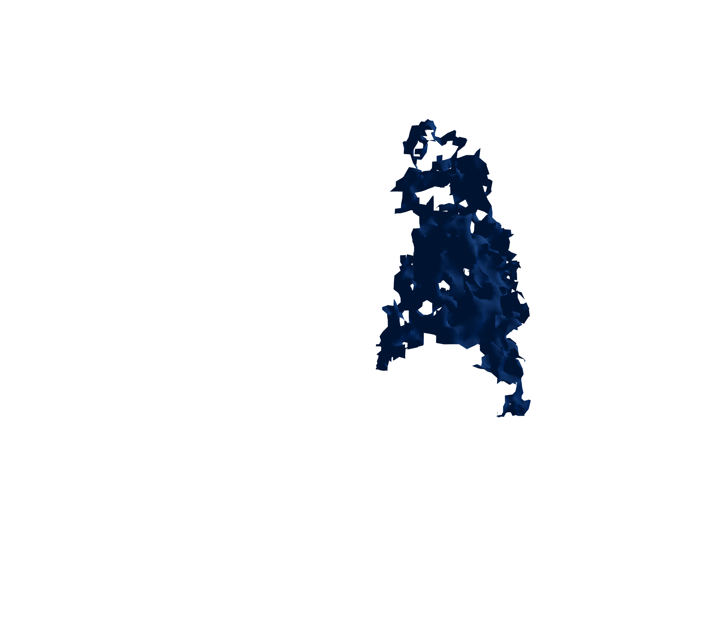 Surface Mesh (Inspiration) - Back View