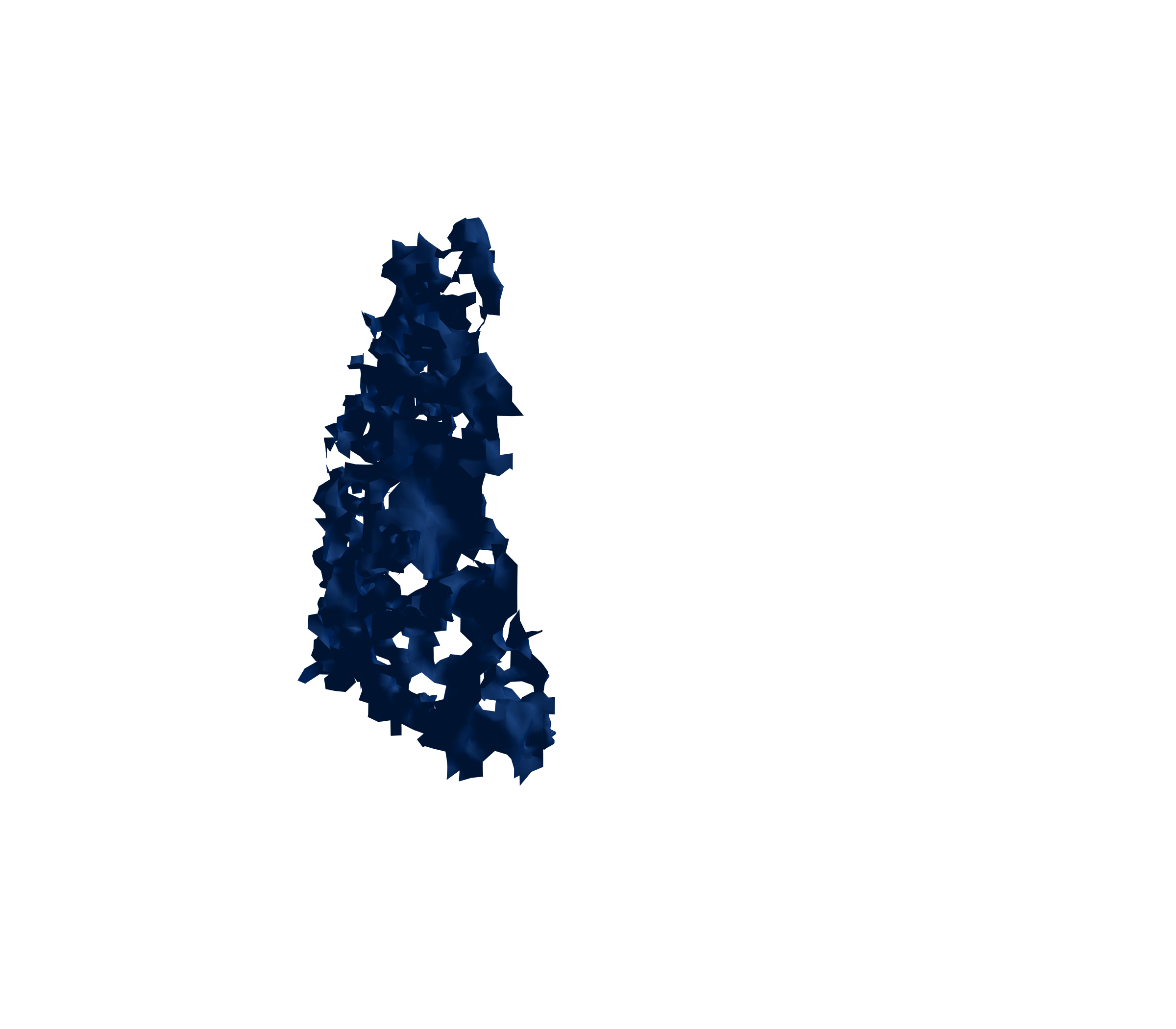 Surface Mesh (Inspiration) - Front View