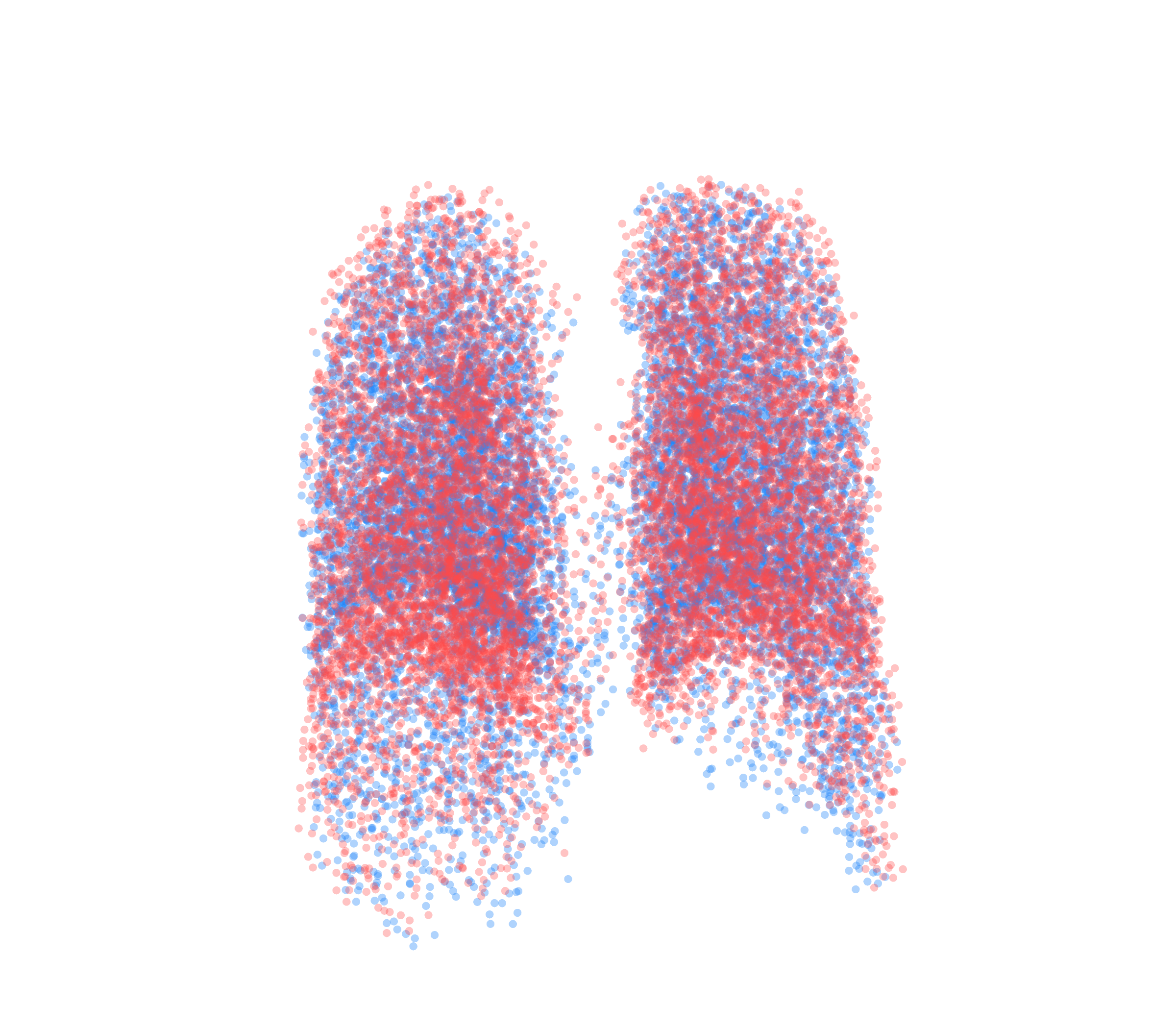 Point Cloud - Back View